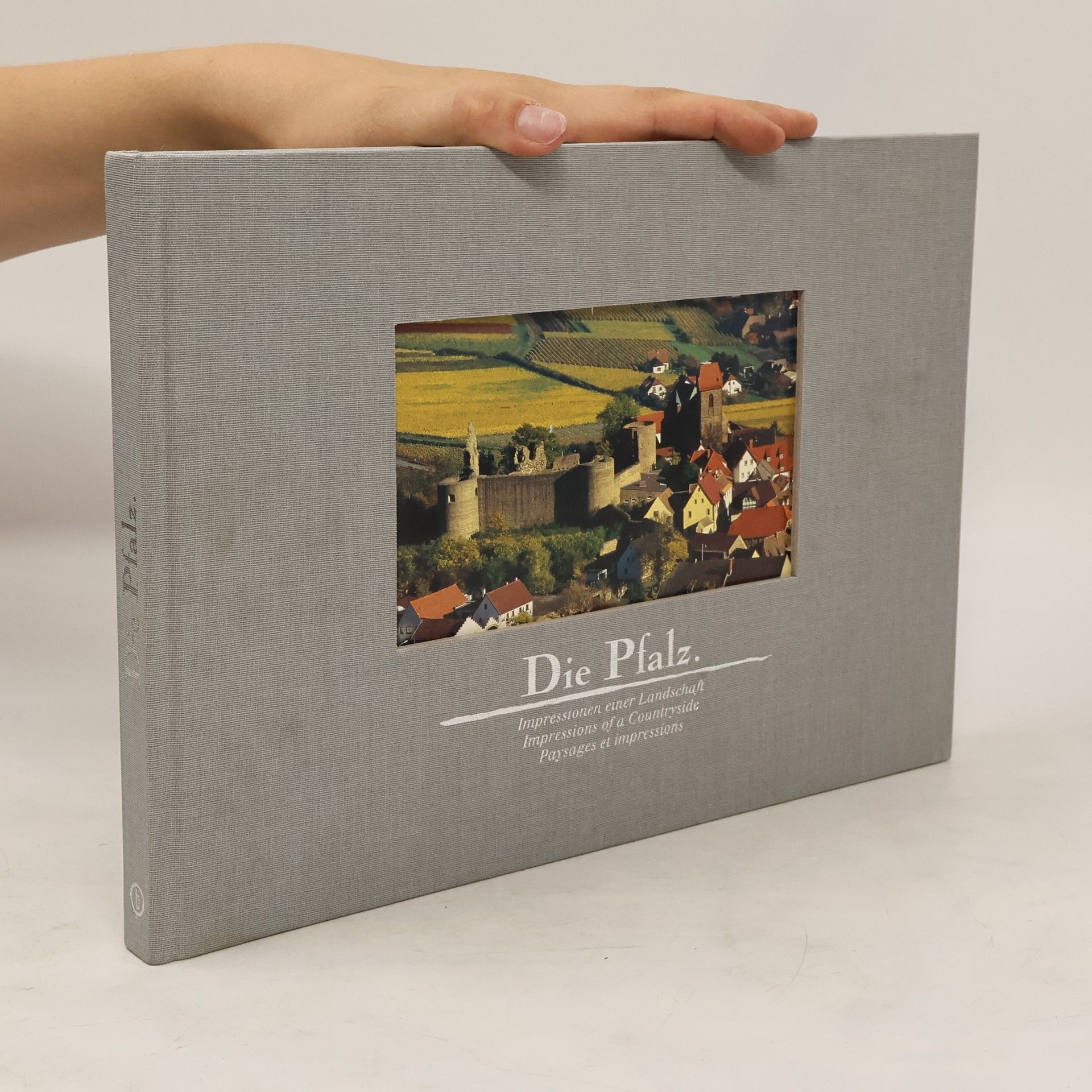 Kurt Ewald Groß Die Pfalz