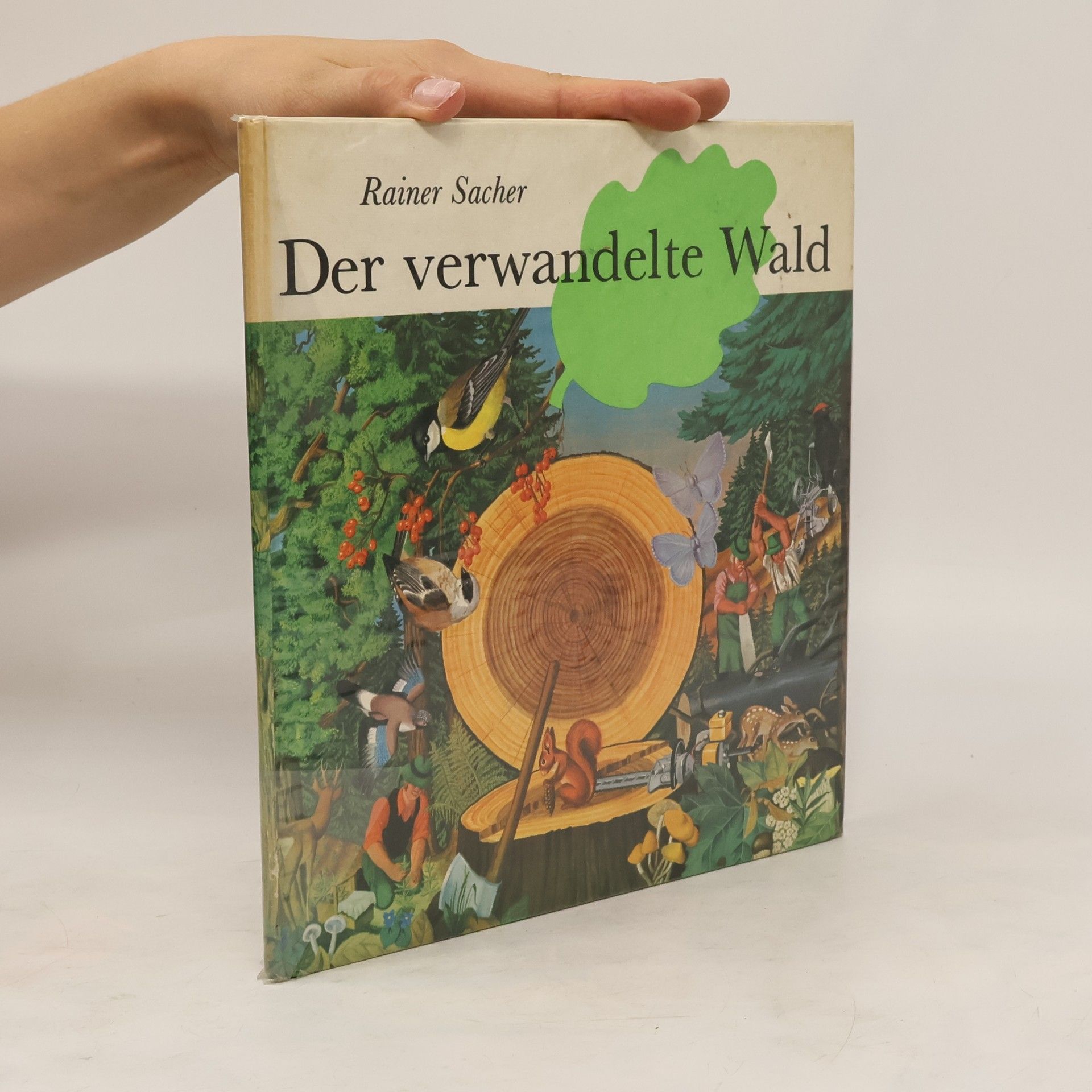 Rainer Sacher Der verwandelte Wald