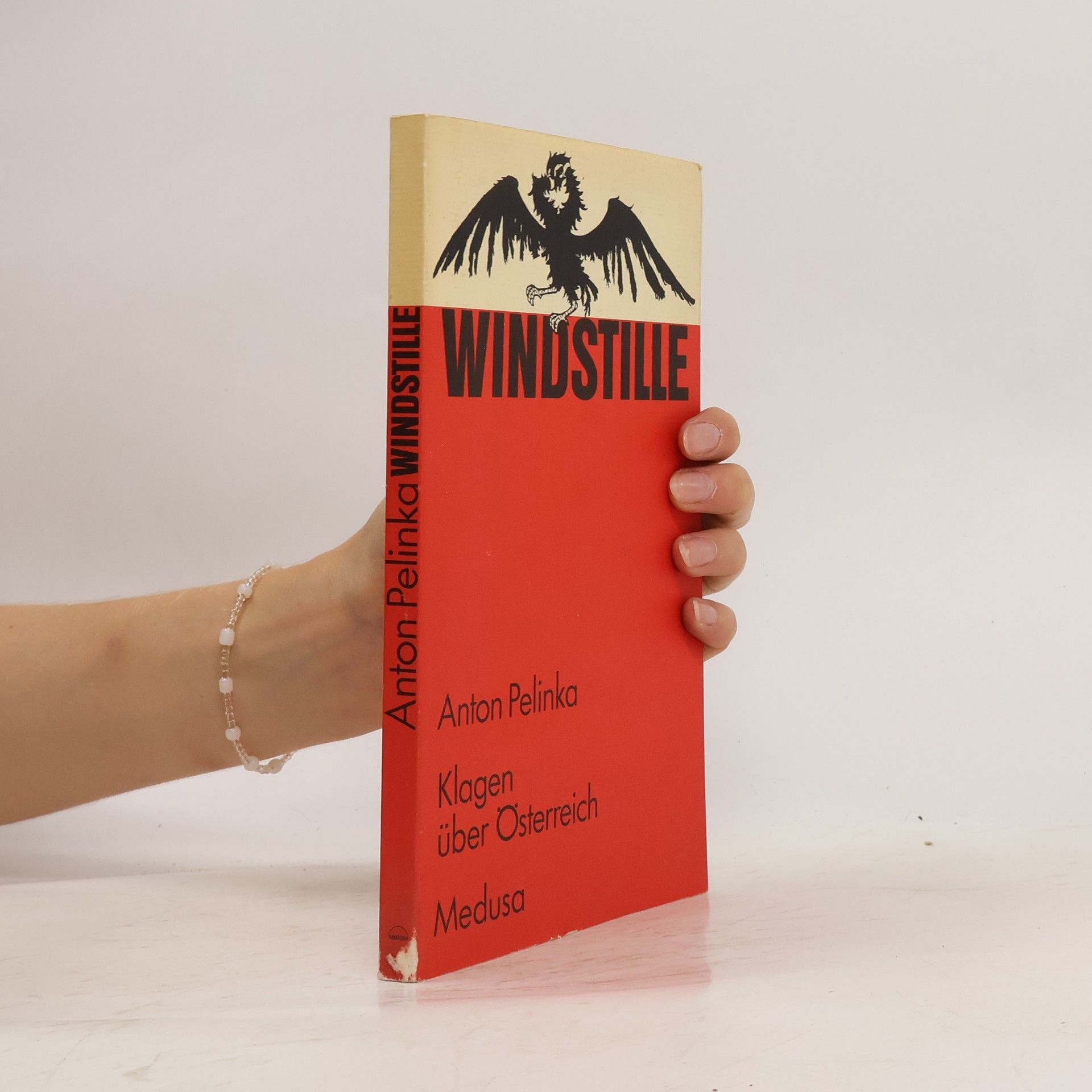 Anton Pelinka Windstille