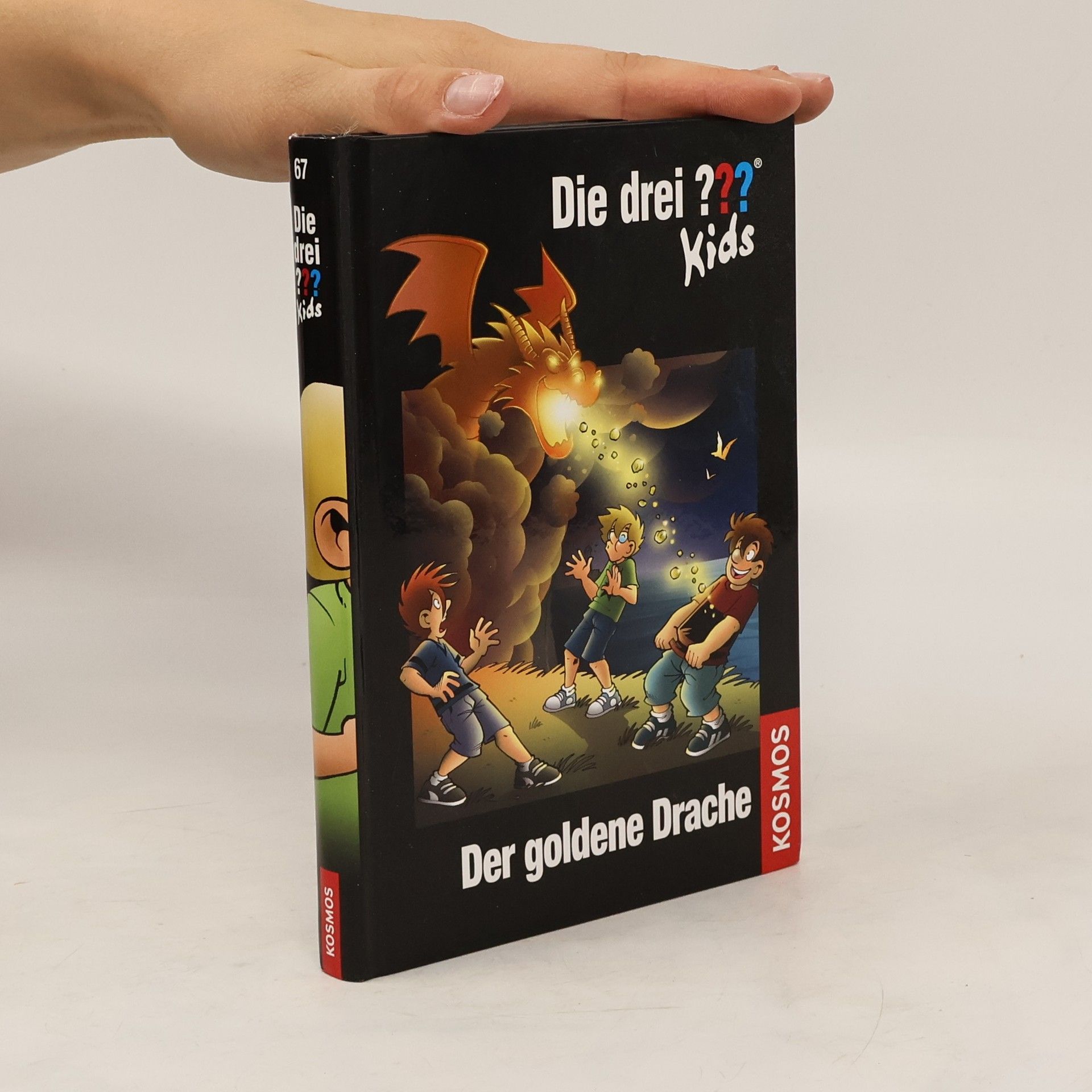 Collectif d'auteurs Der goldene Drache