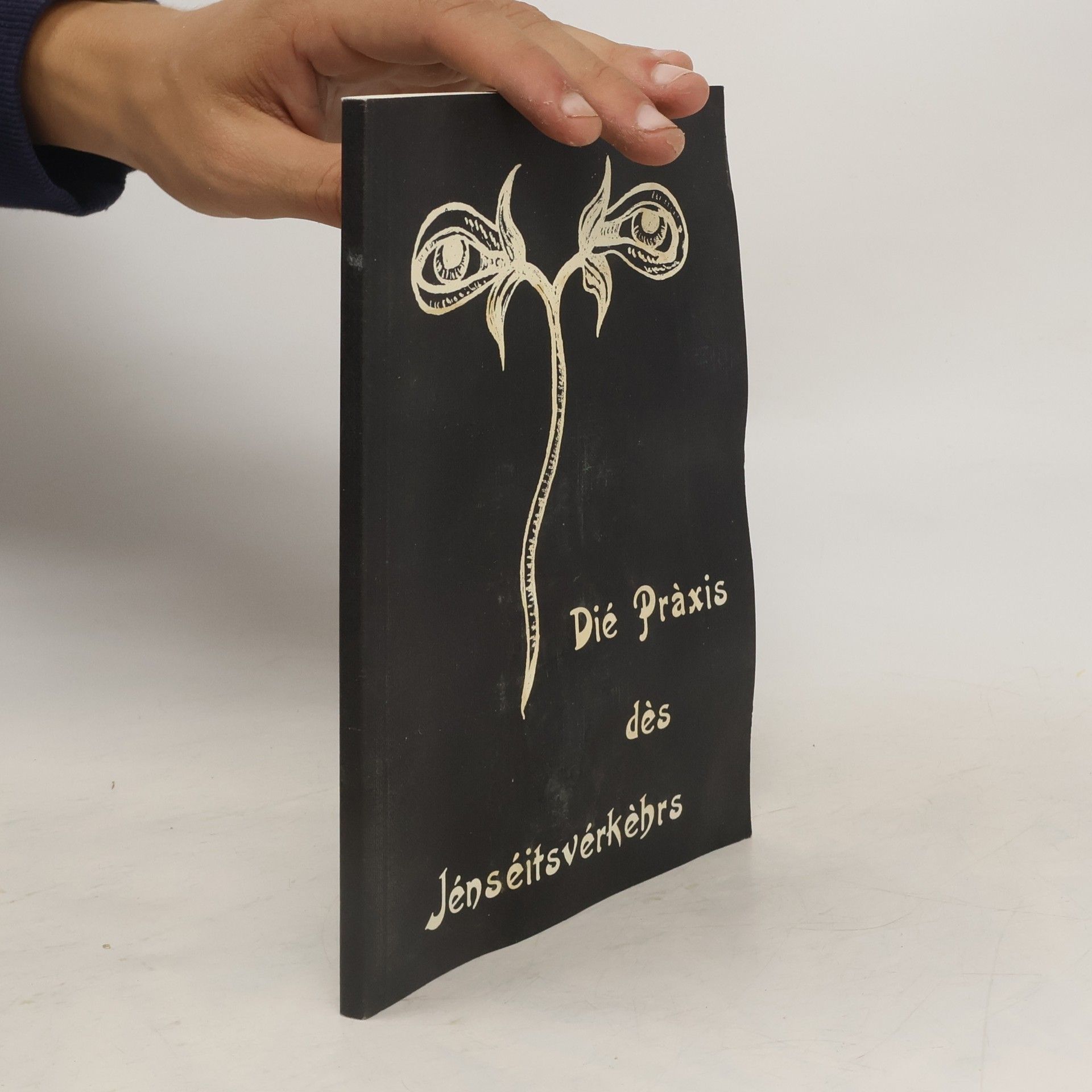 Auteurscollectief Die Praxis de Jenseitsverkehrs