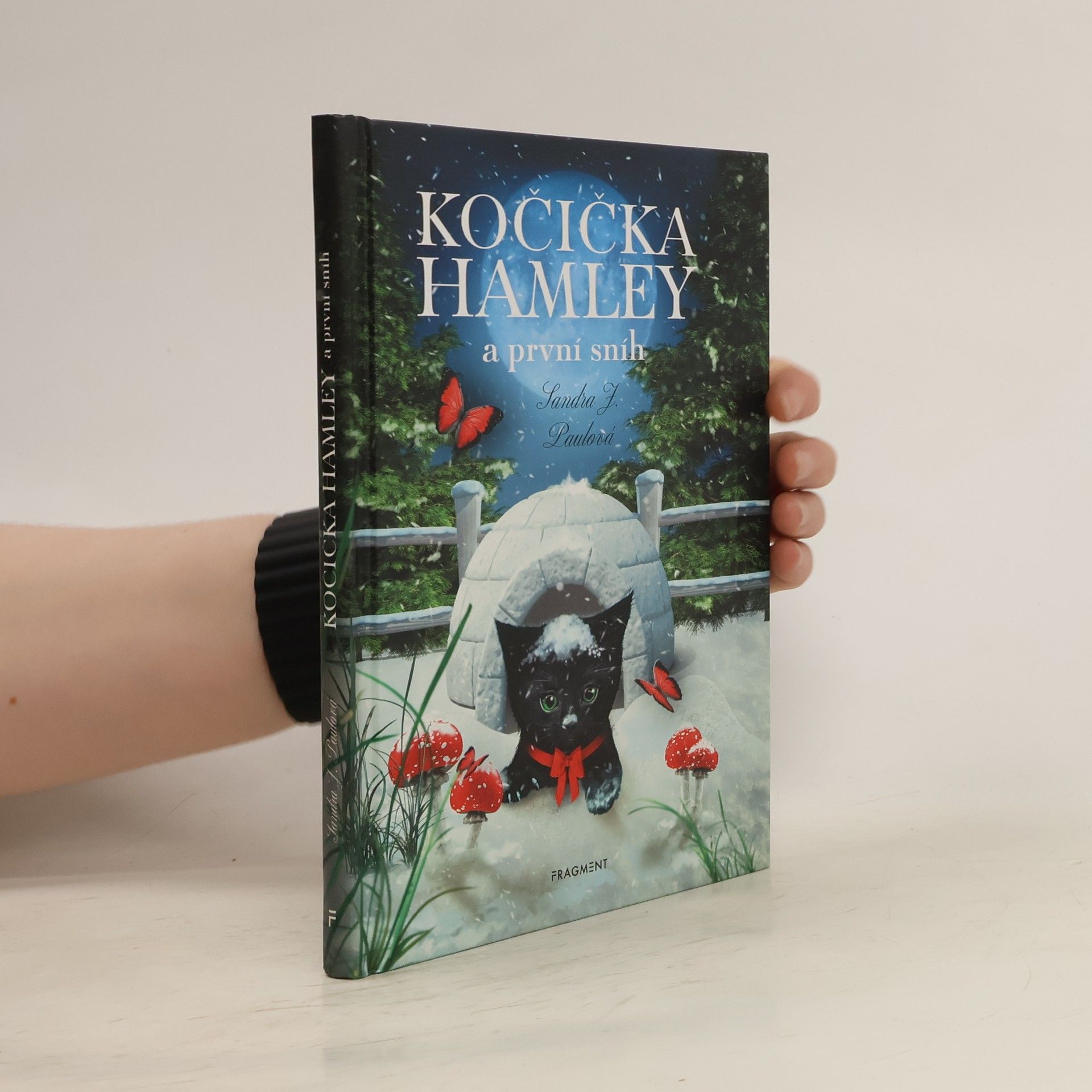 Sandra E Hockenbury Kočička Hamley a první sníh