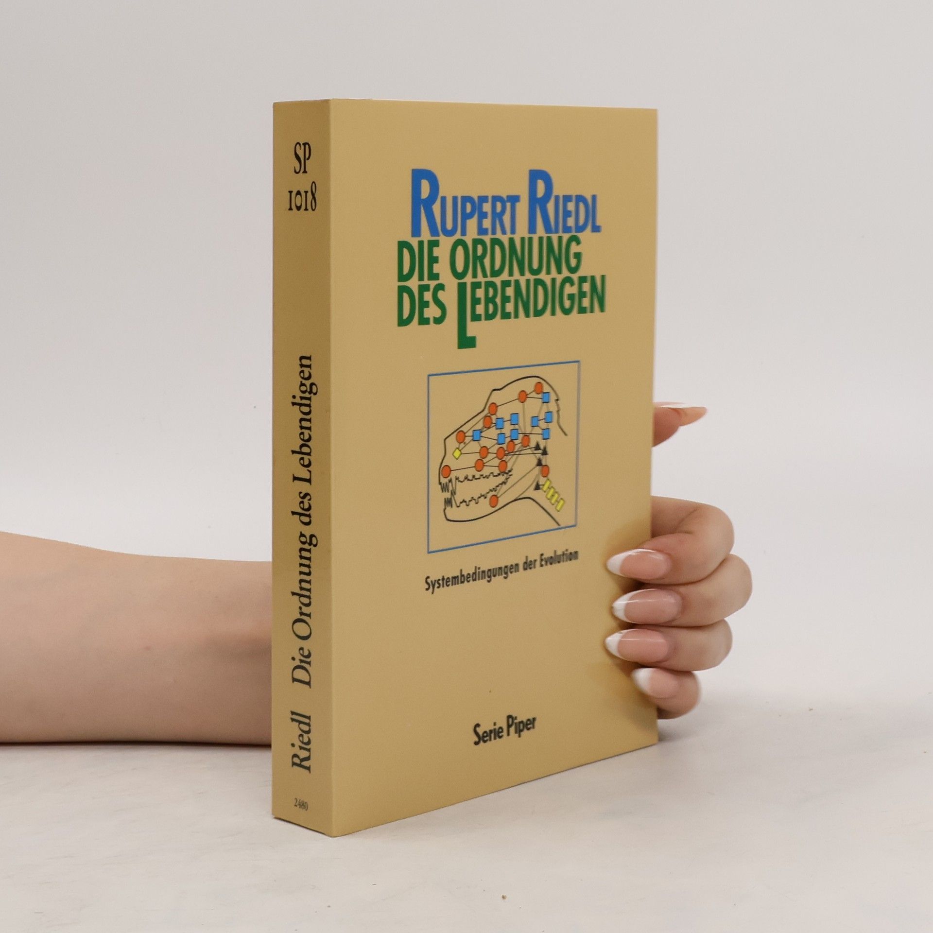 Rupert Riedl Die Ordnung des Lebendigen