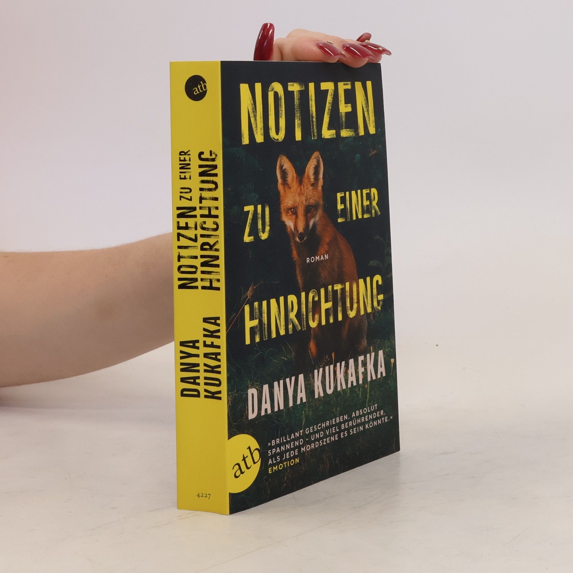 Danya Kukafka Notizen zu einer Hinrichtung