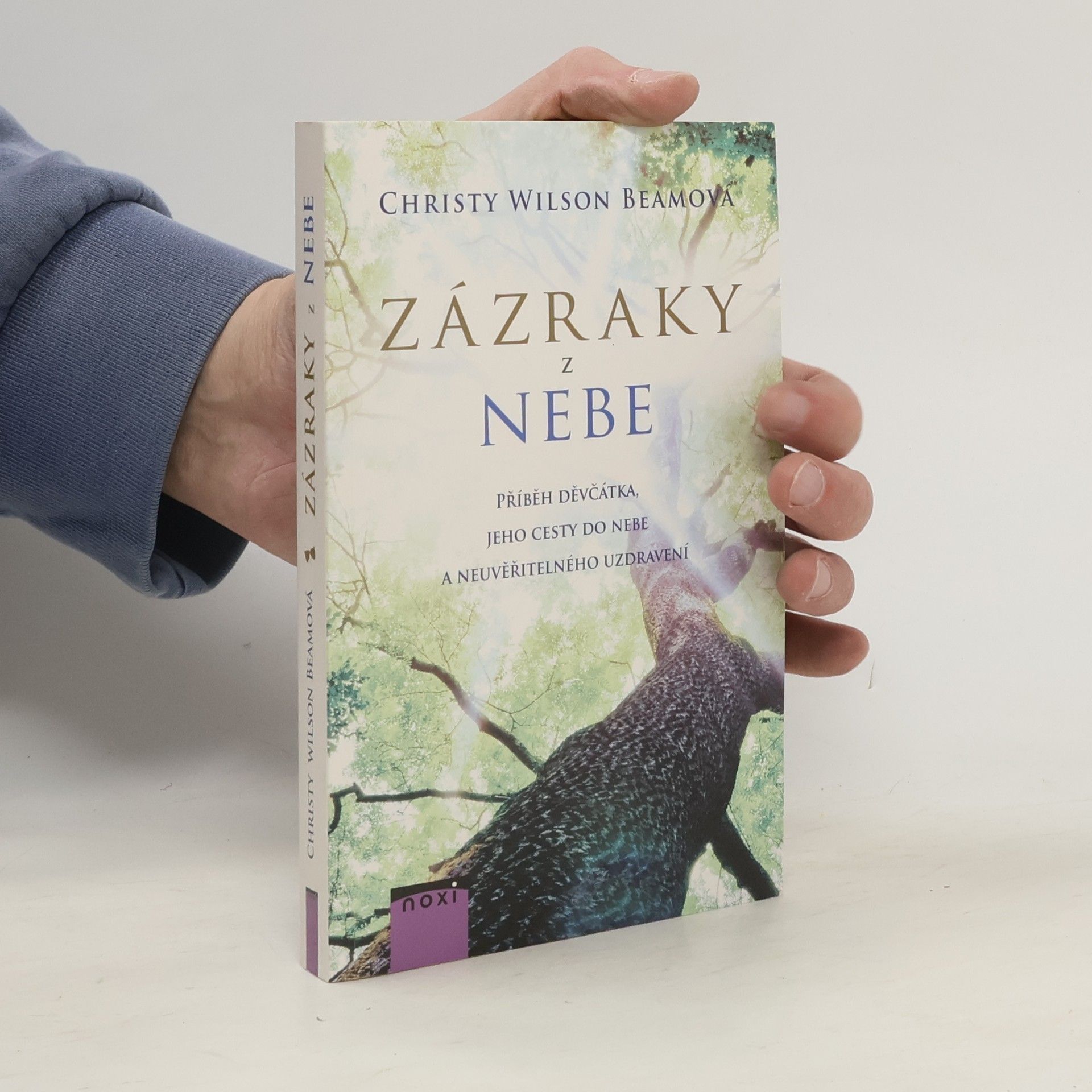 Christy Wilson Beam Zázraky z nebe