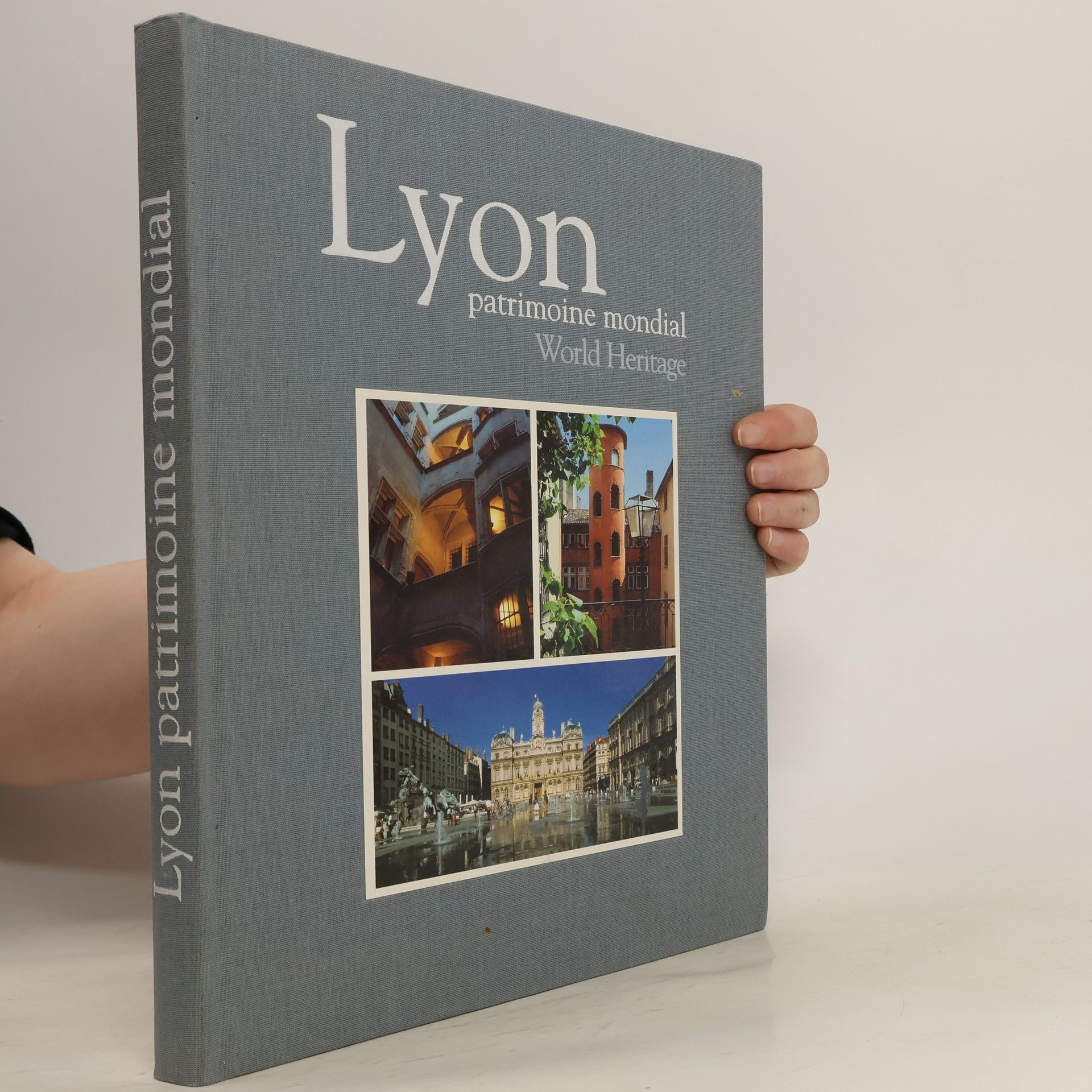 Lyon. World heritage