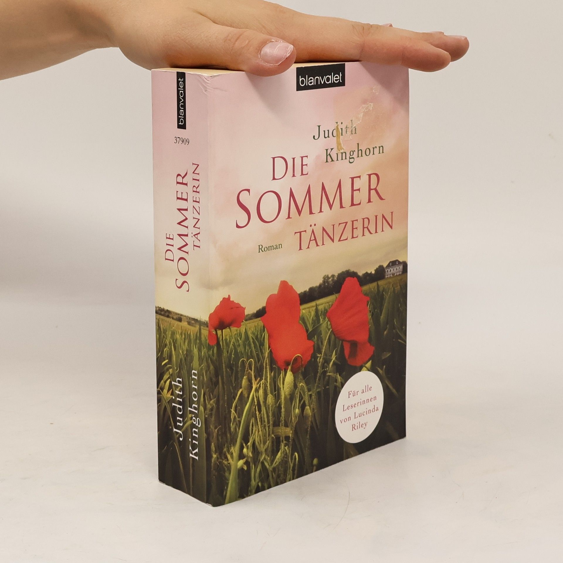 Judith Kinghorn Die Sommertänzerin