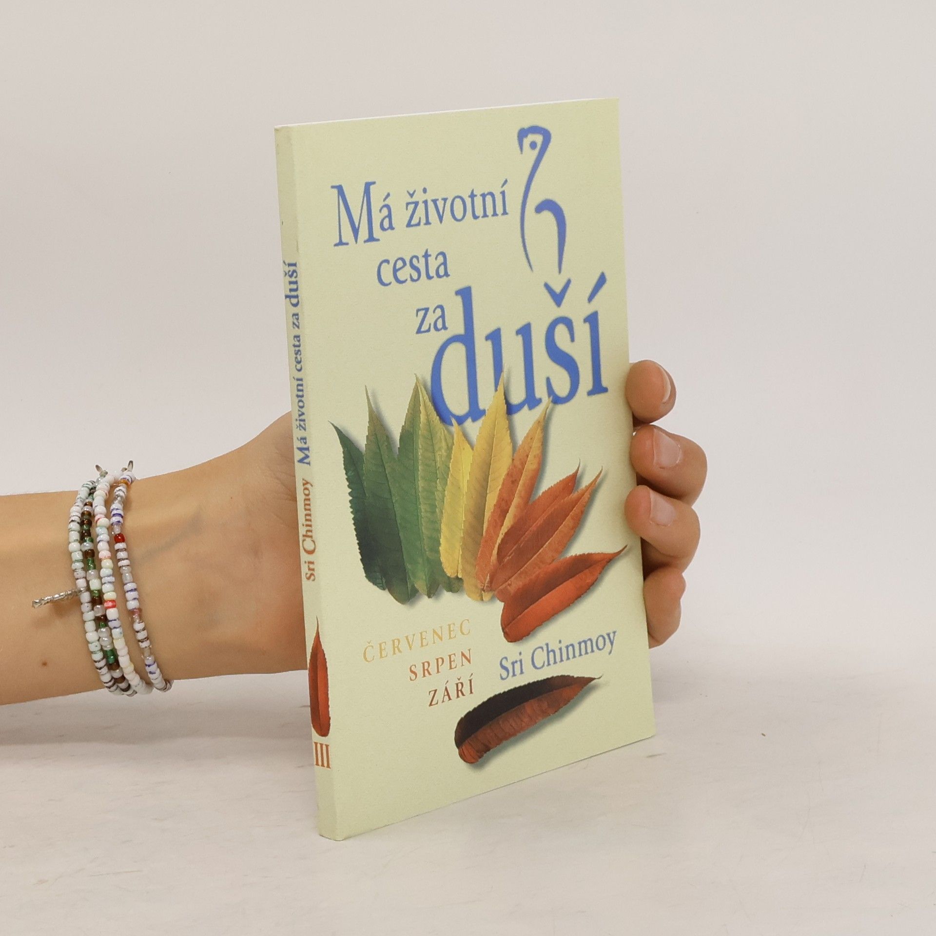 Sri Chinmoy Má životní cesta za duší III