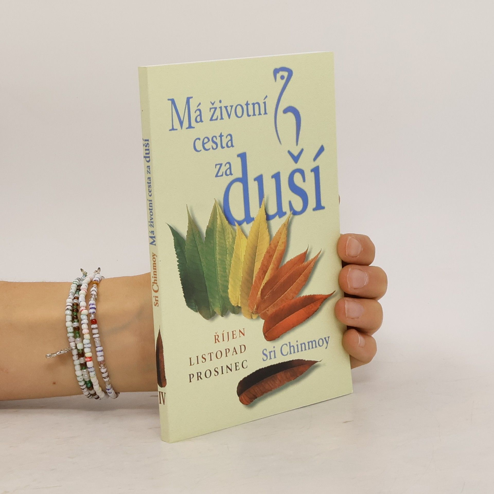 Sri Chinmoy Má životní cesta za duší. Díl 4. Říjen-Prosinec