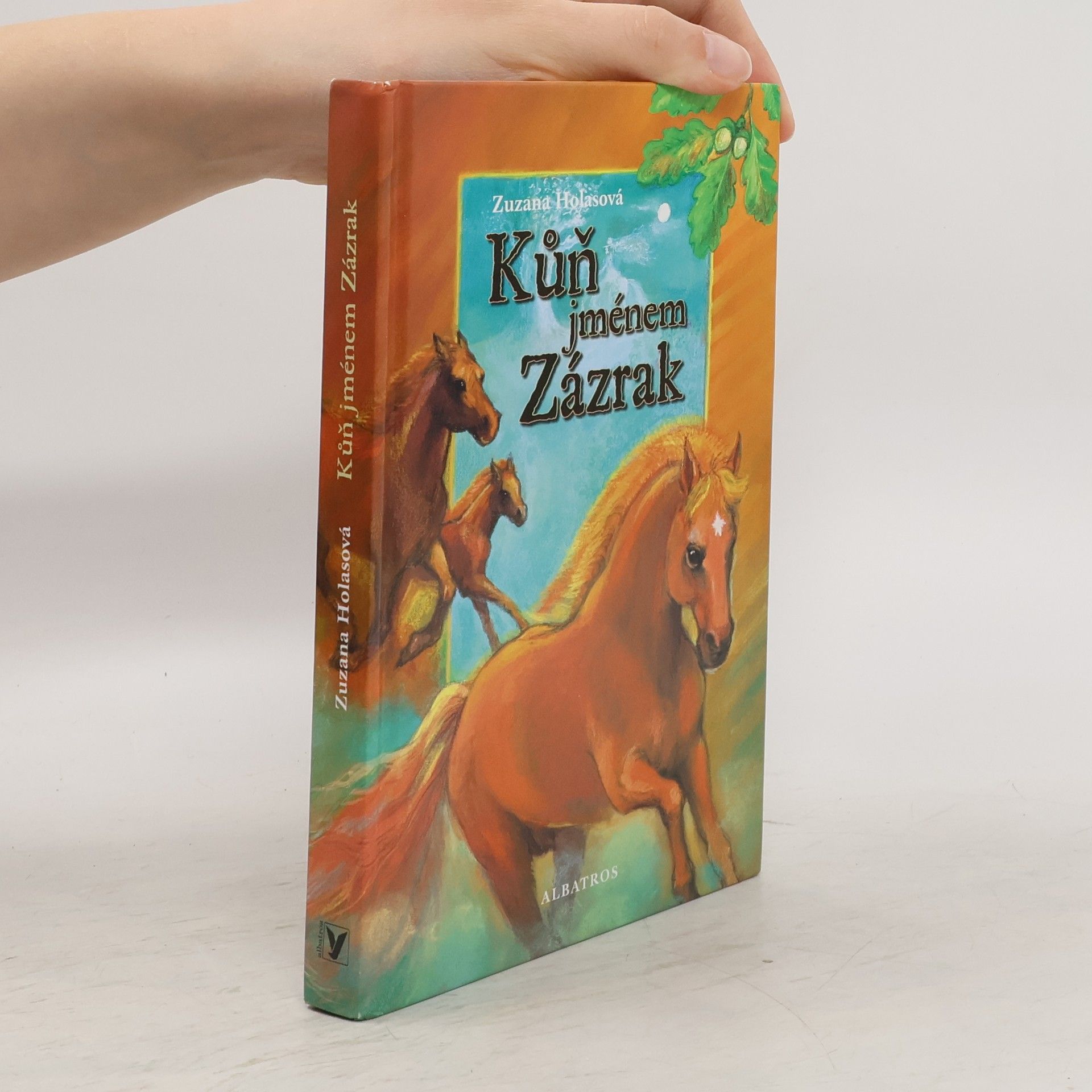 Zuzana Holasová Kůň jménem Zázrak