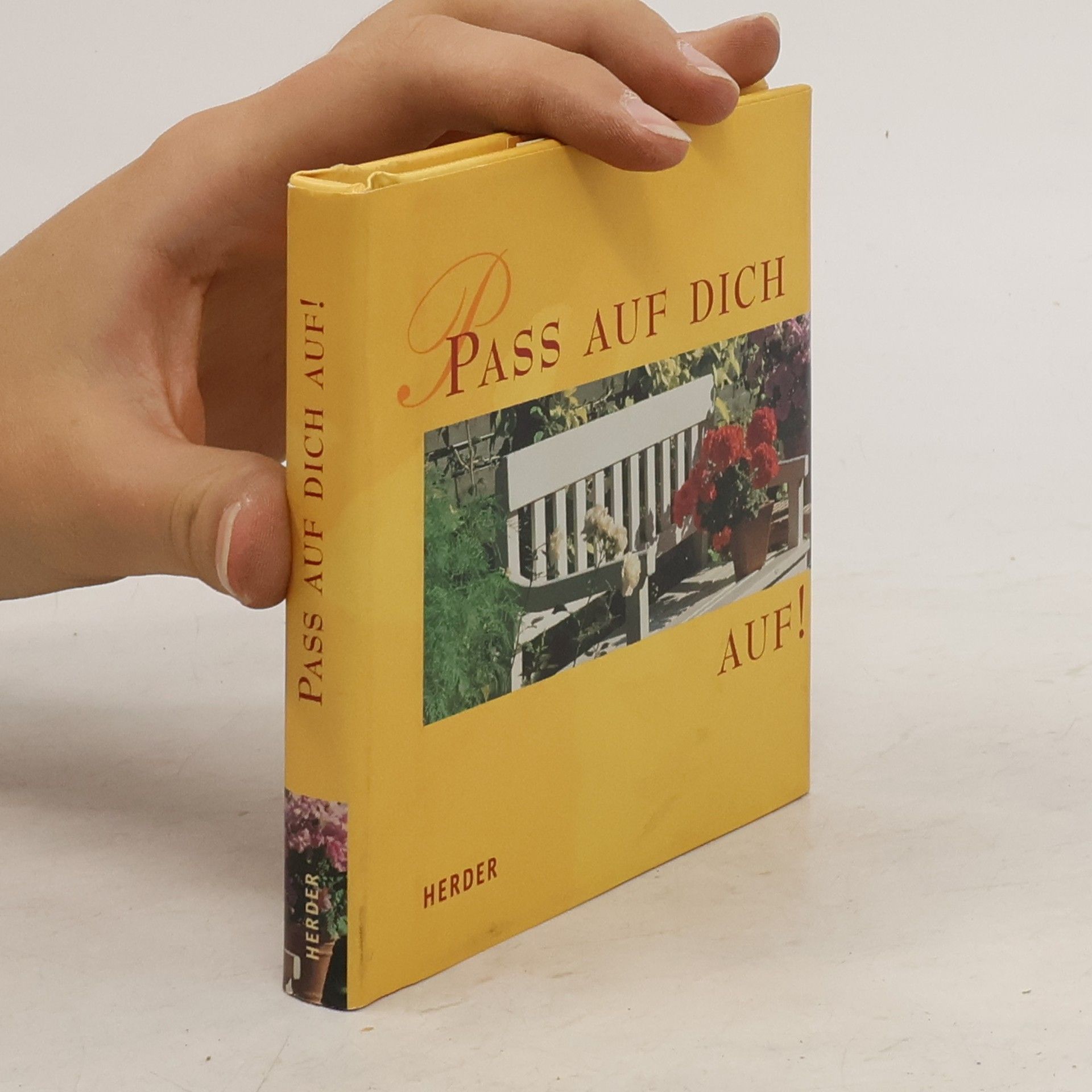 Klaus Ender Pass auf dich auf!