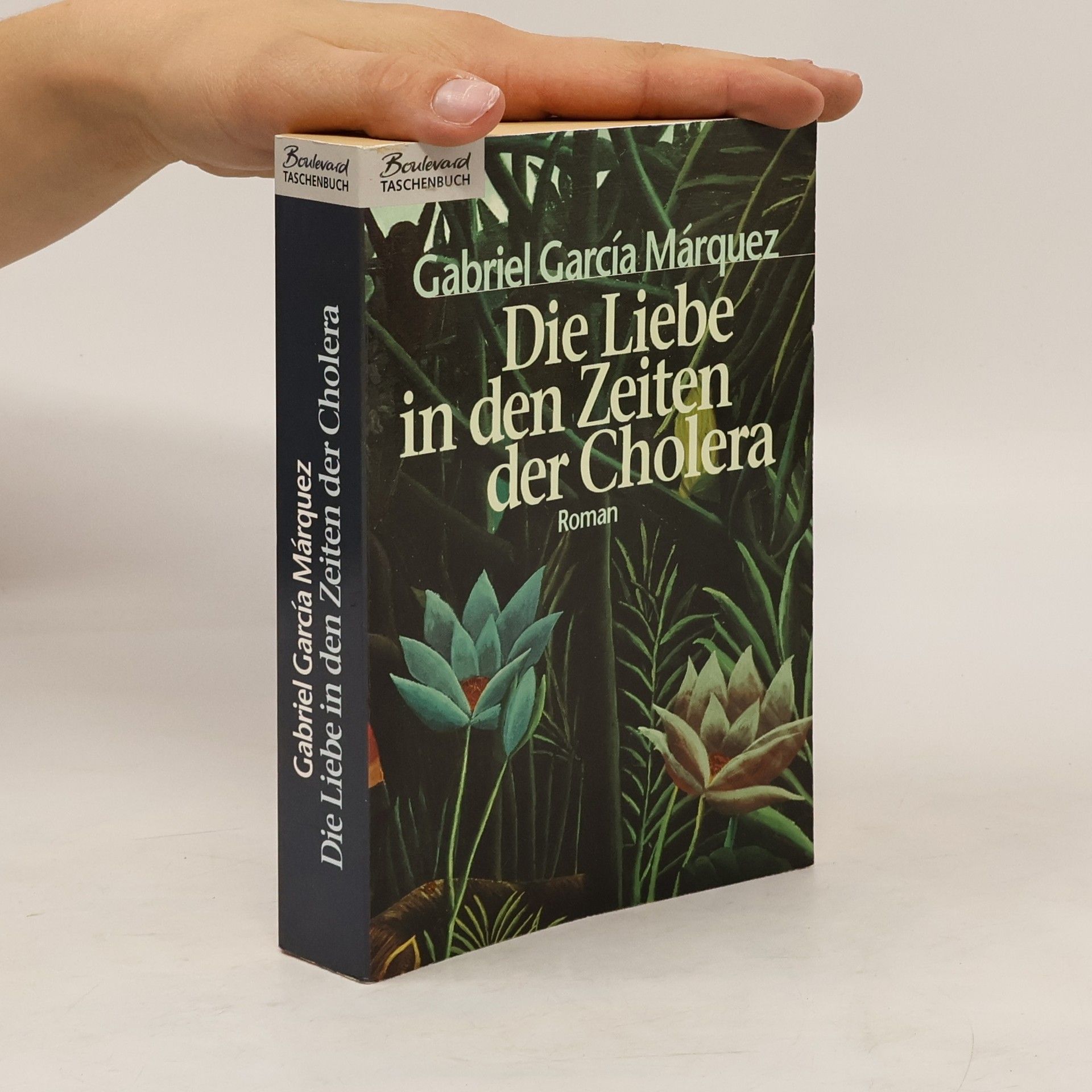 Gabriel García Márquez Die Liebe in den Zeiten der Cholera