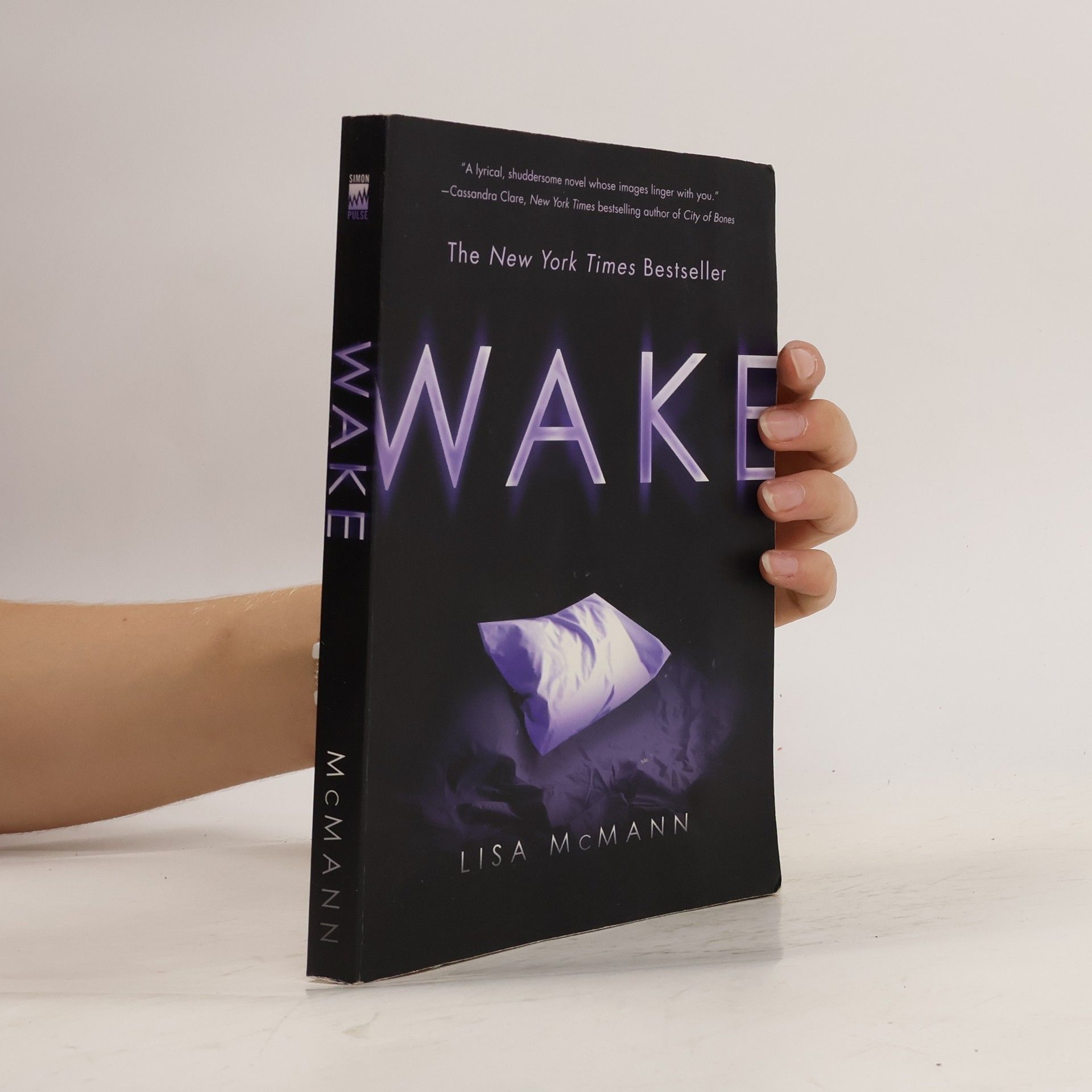 Lisa McMann Wake