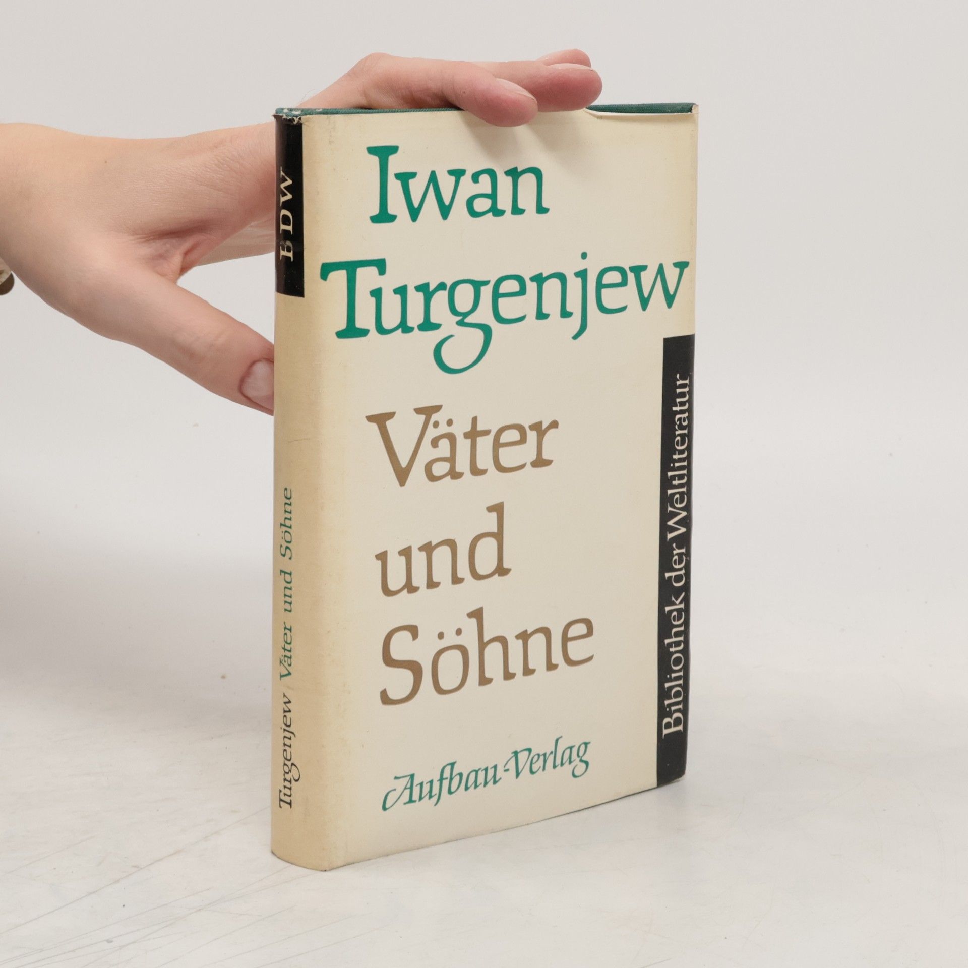 Ivan Sergejevič Turgenev Väter und Söhne