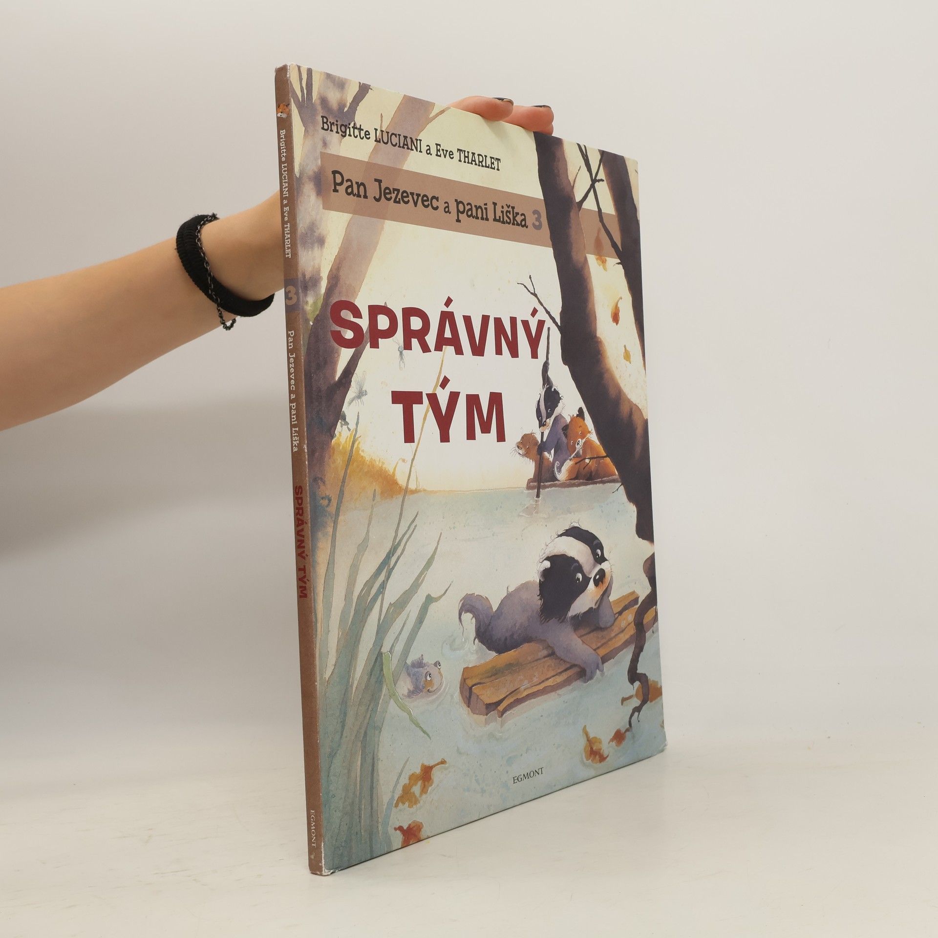 Brigitte Luciani Správný tým