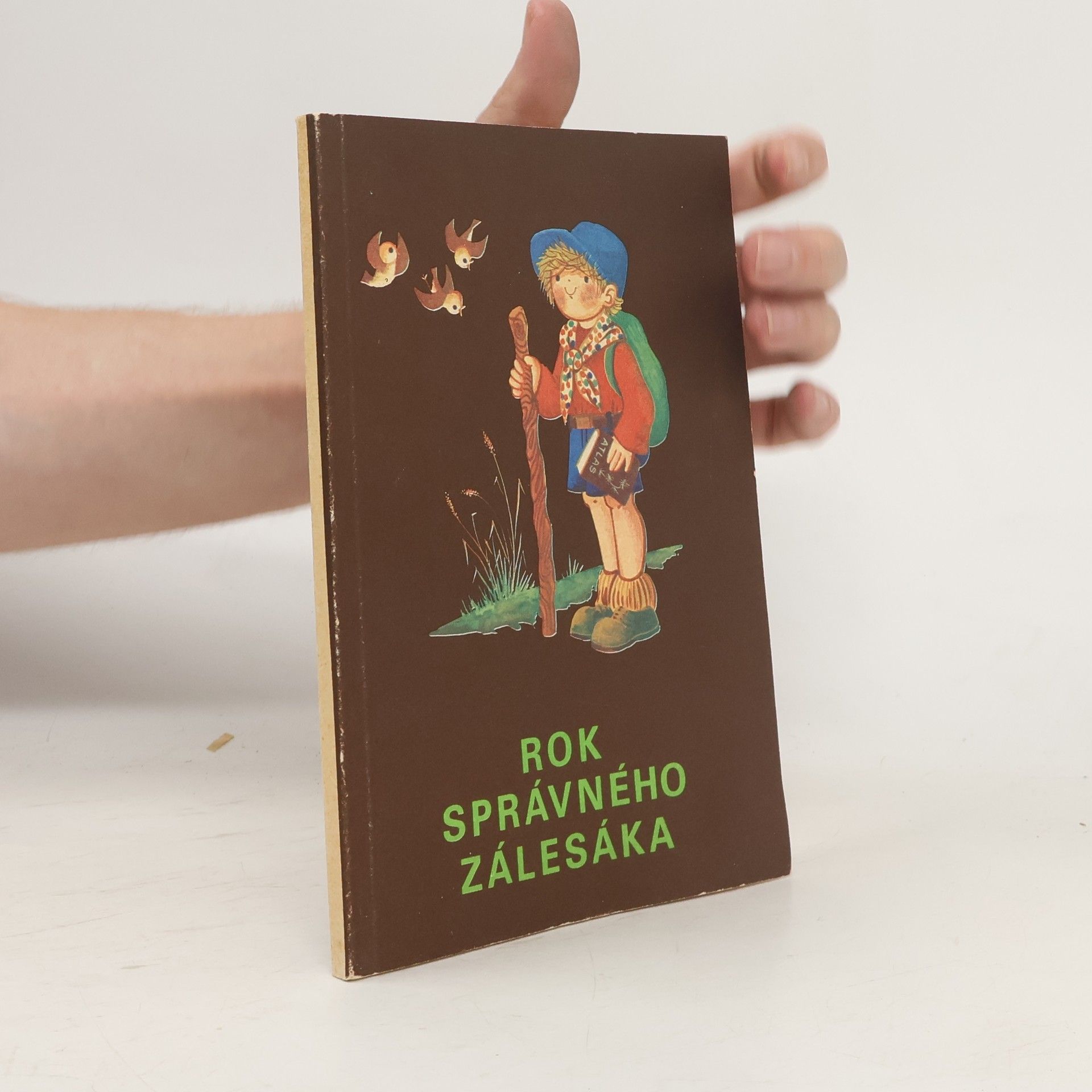 Autorenkollektiv Rok správného zálesáka