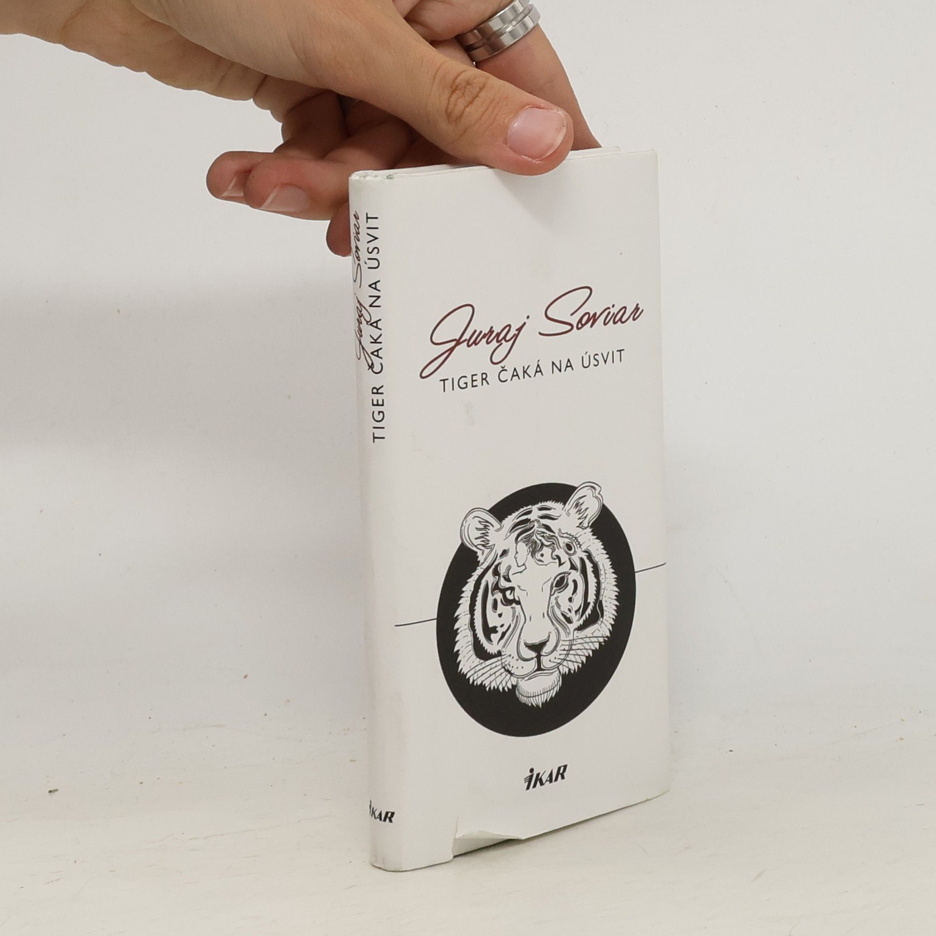 Juraj Soviar Tiger čaká na úsvit