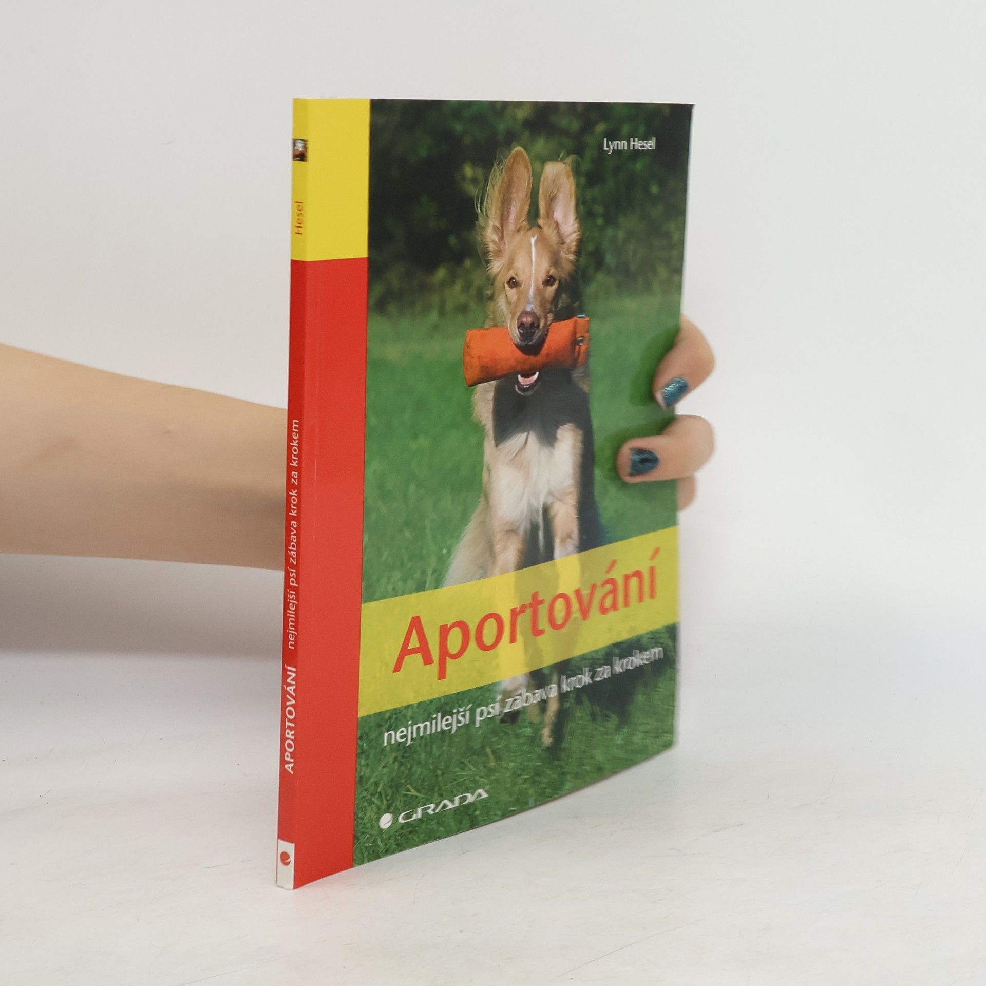 Lynn Hesel Aportování