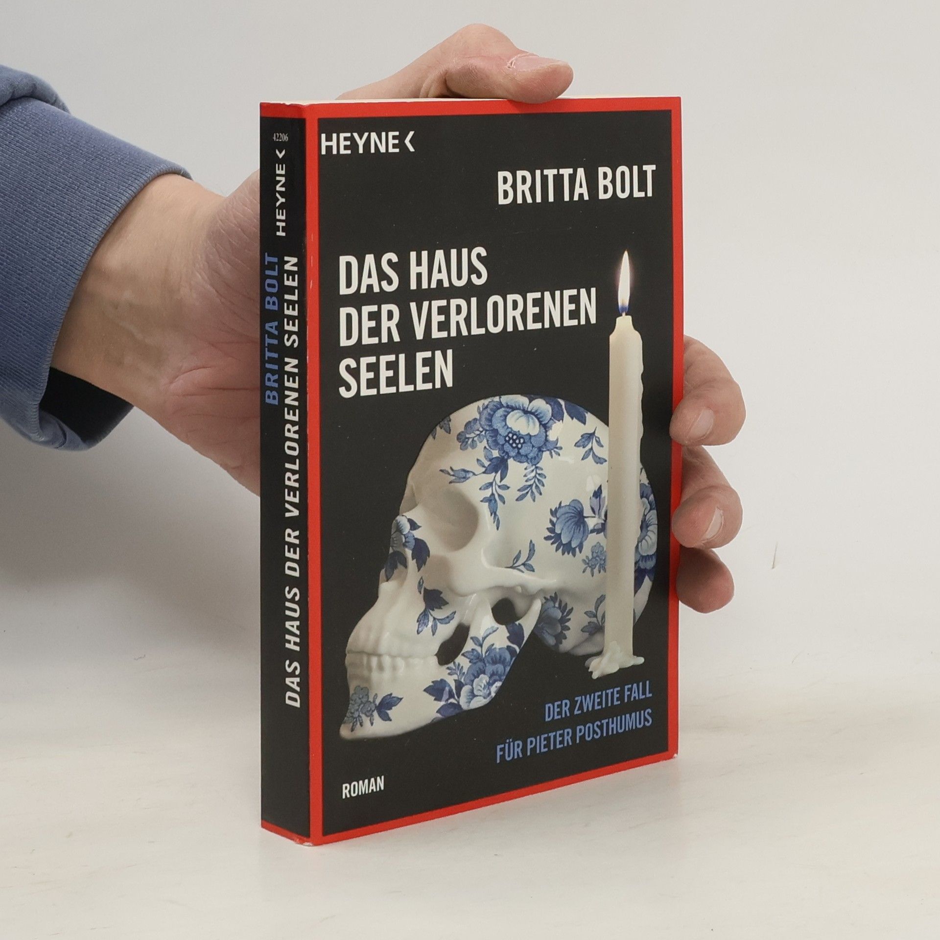 Britta Bolt Das Haus der verlorenen Seelen