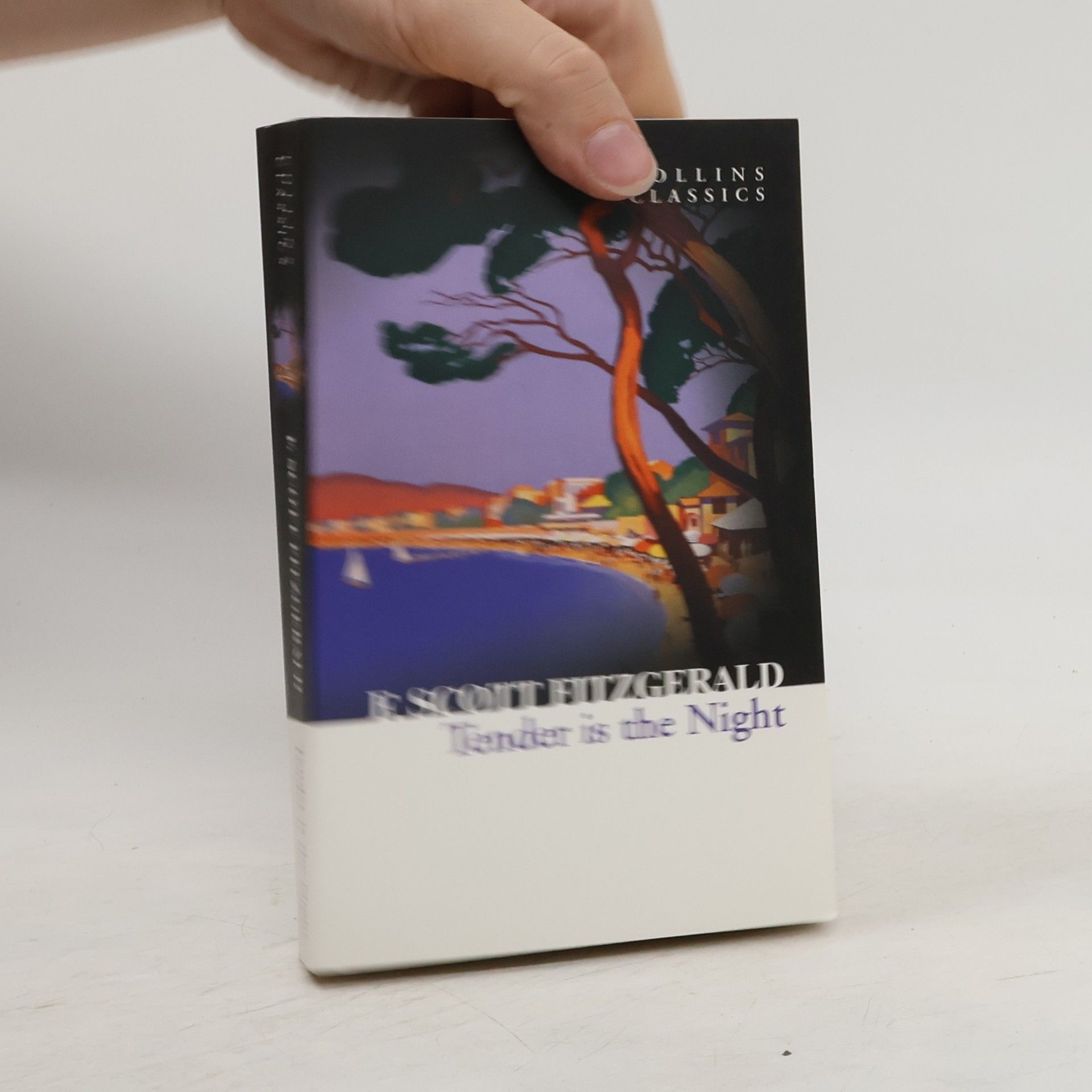 Francis Scott Fitzgerald Tender is The Night