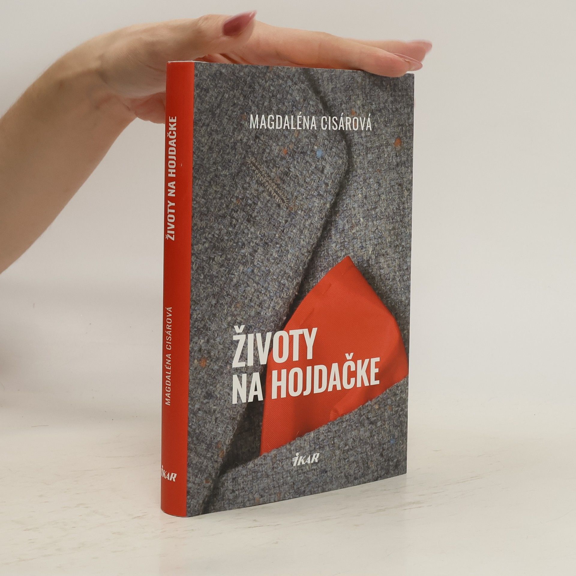 Magdaléna Cisárová Životy na hojdačke
