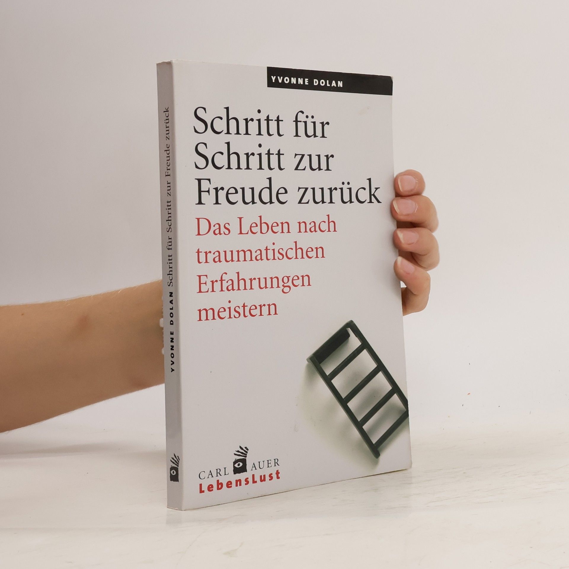 Yvonne Dolan Schritt für Schritt zur Freude zurück