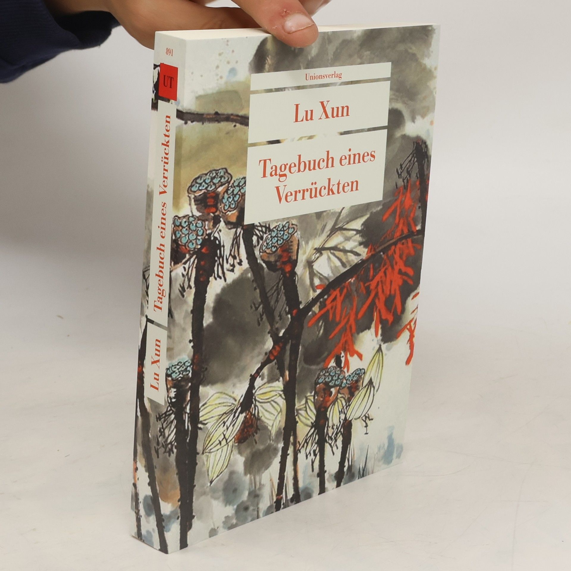 Xun Lu Tagebuch eines Verrückten