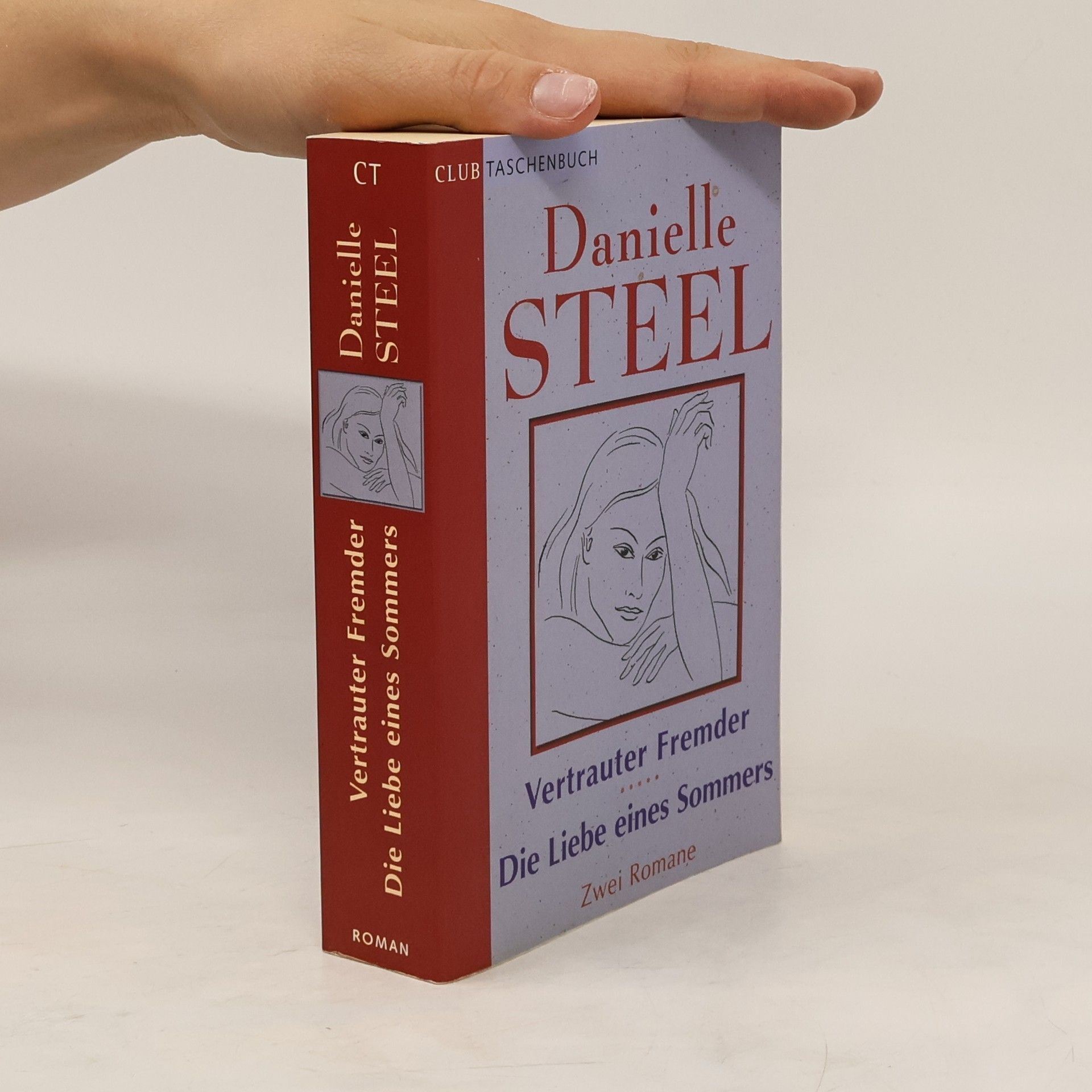 Danielle Steel Vertrauter Fremder. Die Liebe eines Sommers