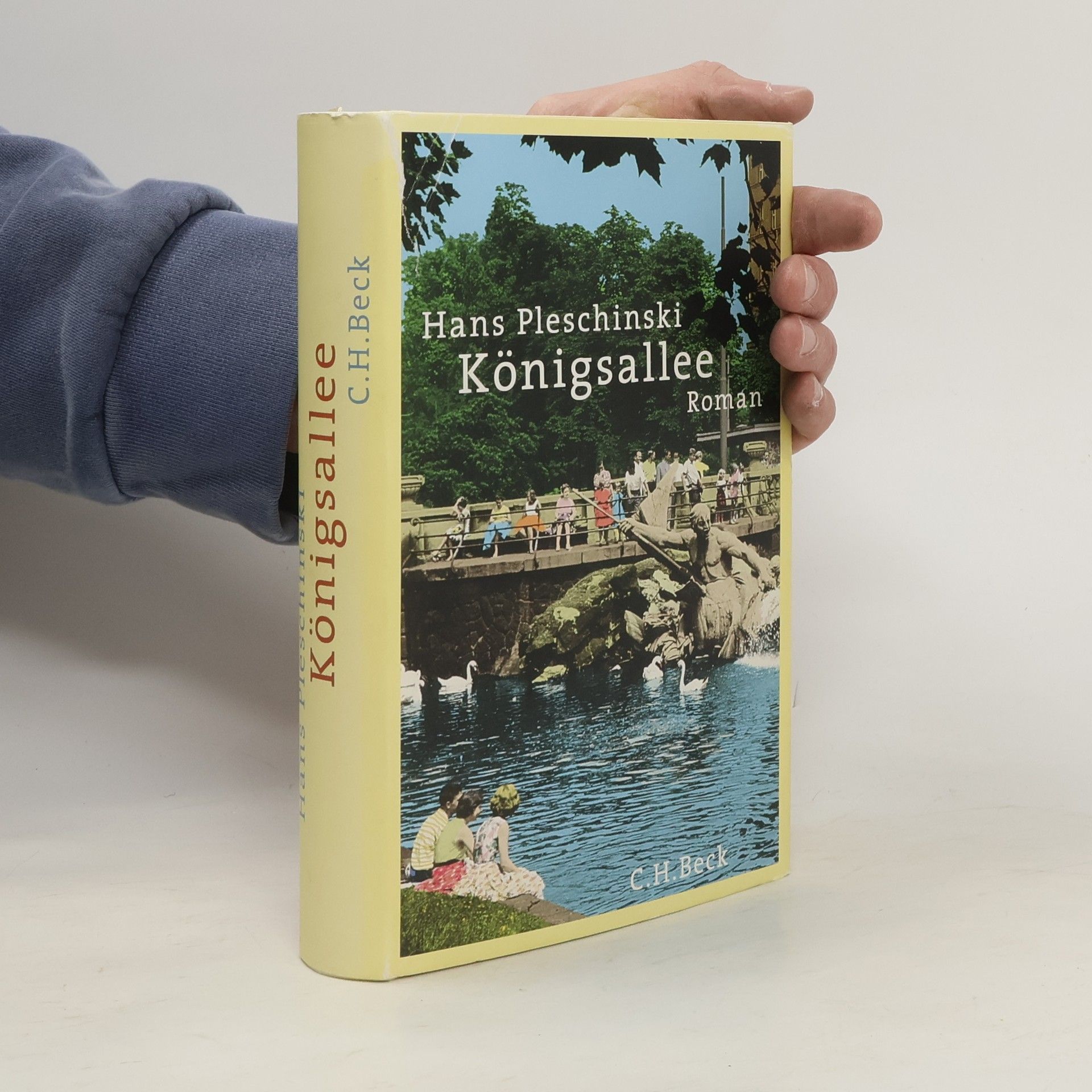 Hans Pleschinski Königsallee