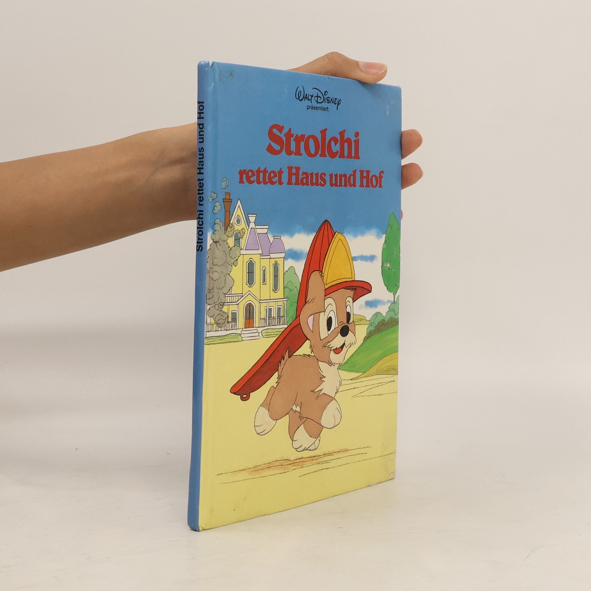 Autores varios Strolchi rettet Haus und Hof