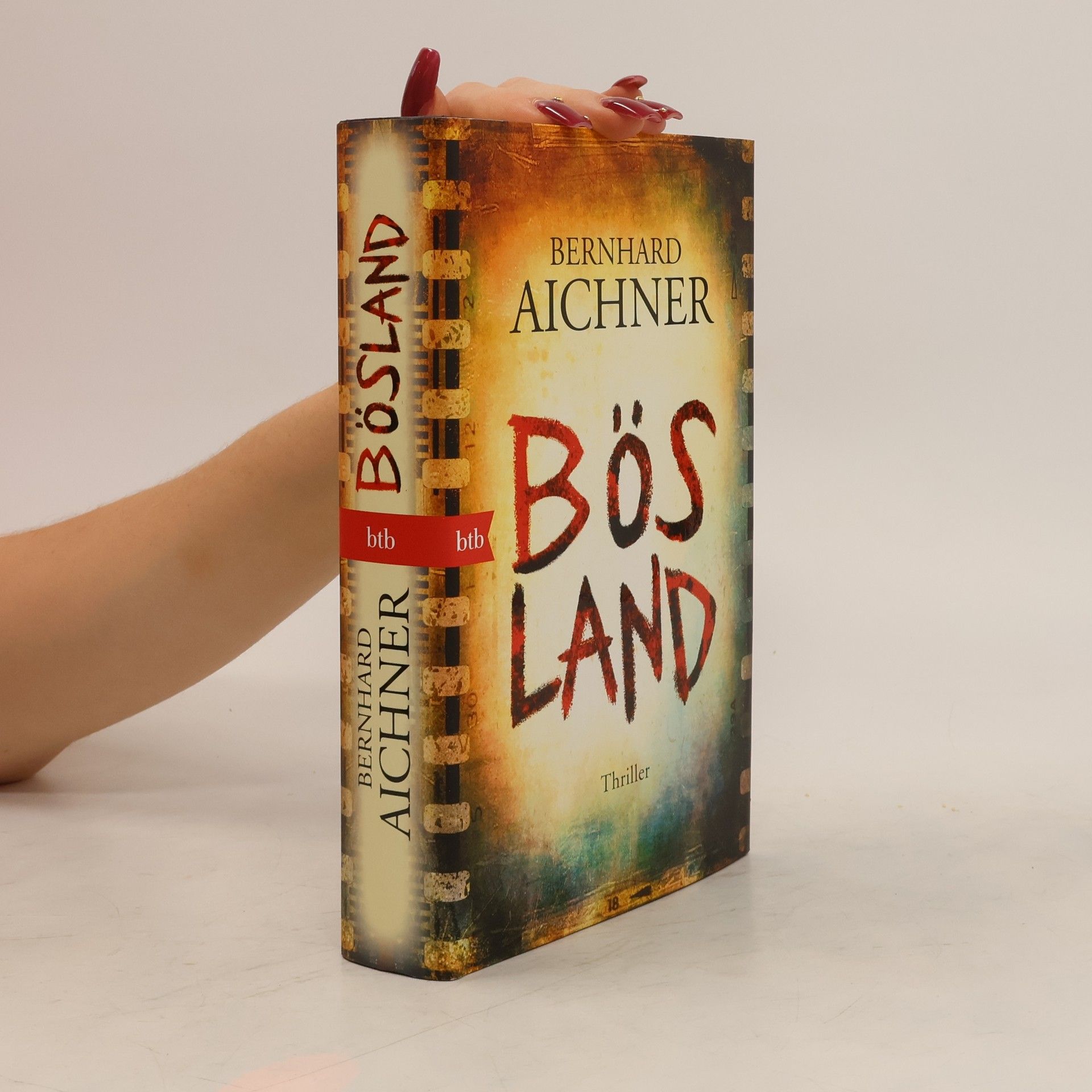 Bernhard Aichner Bösland