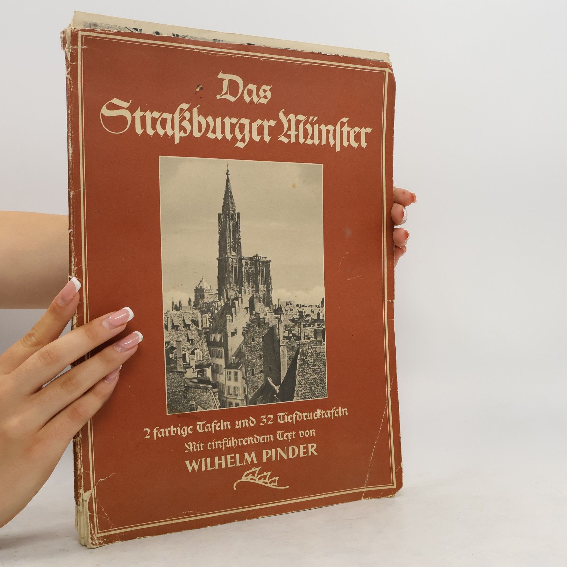 Wilhelm Pinder Das Straßburger Münster