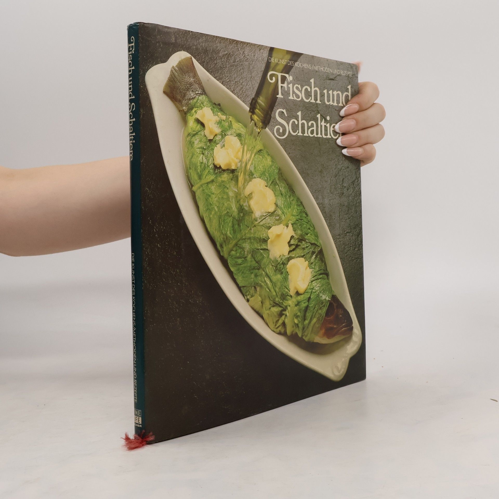 kolektiv Fisch und Schalentiere