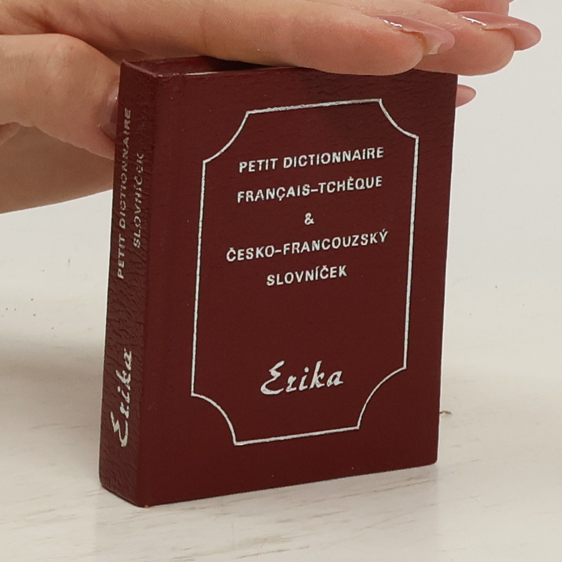 Collectif d'auteurs Petit Dictionnaire Francais-Tchéque & Česko-francouzský slovníček