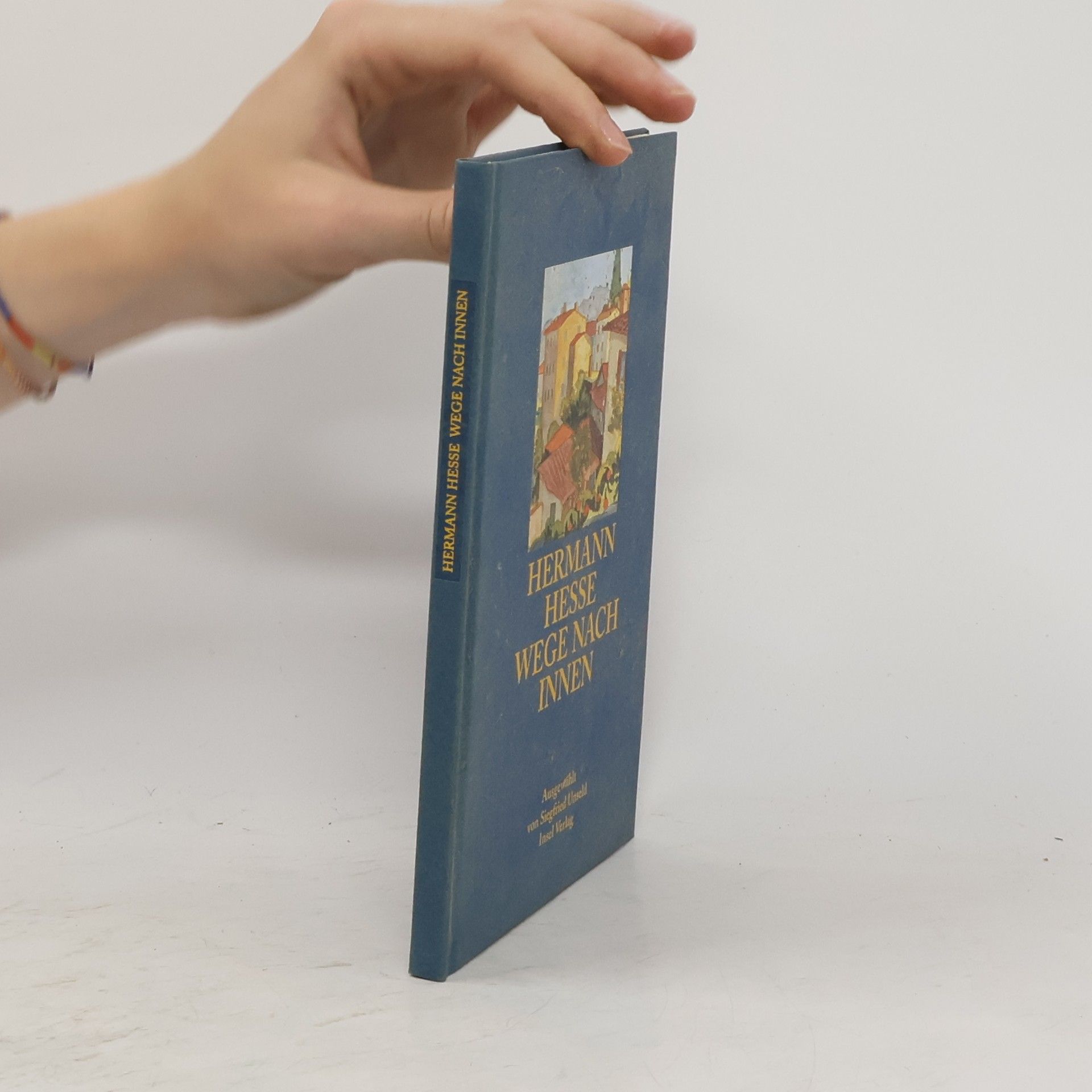 Hermann Hesse Wege nach innen