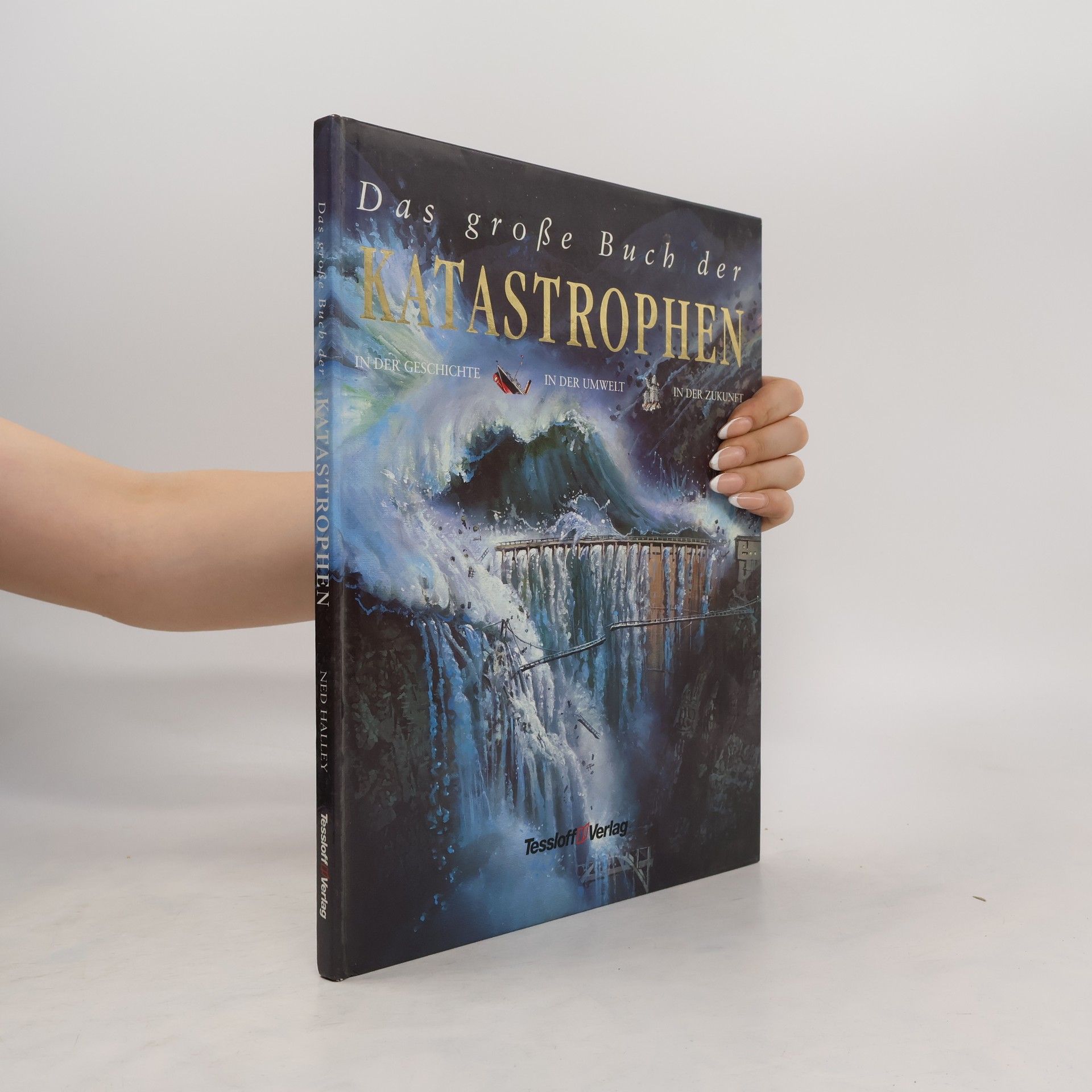 Ned Halley Das große Buch der Katastrophen