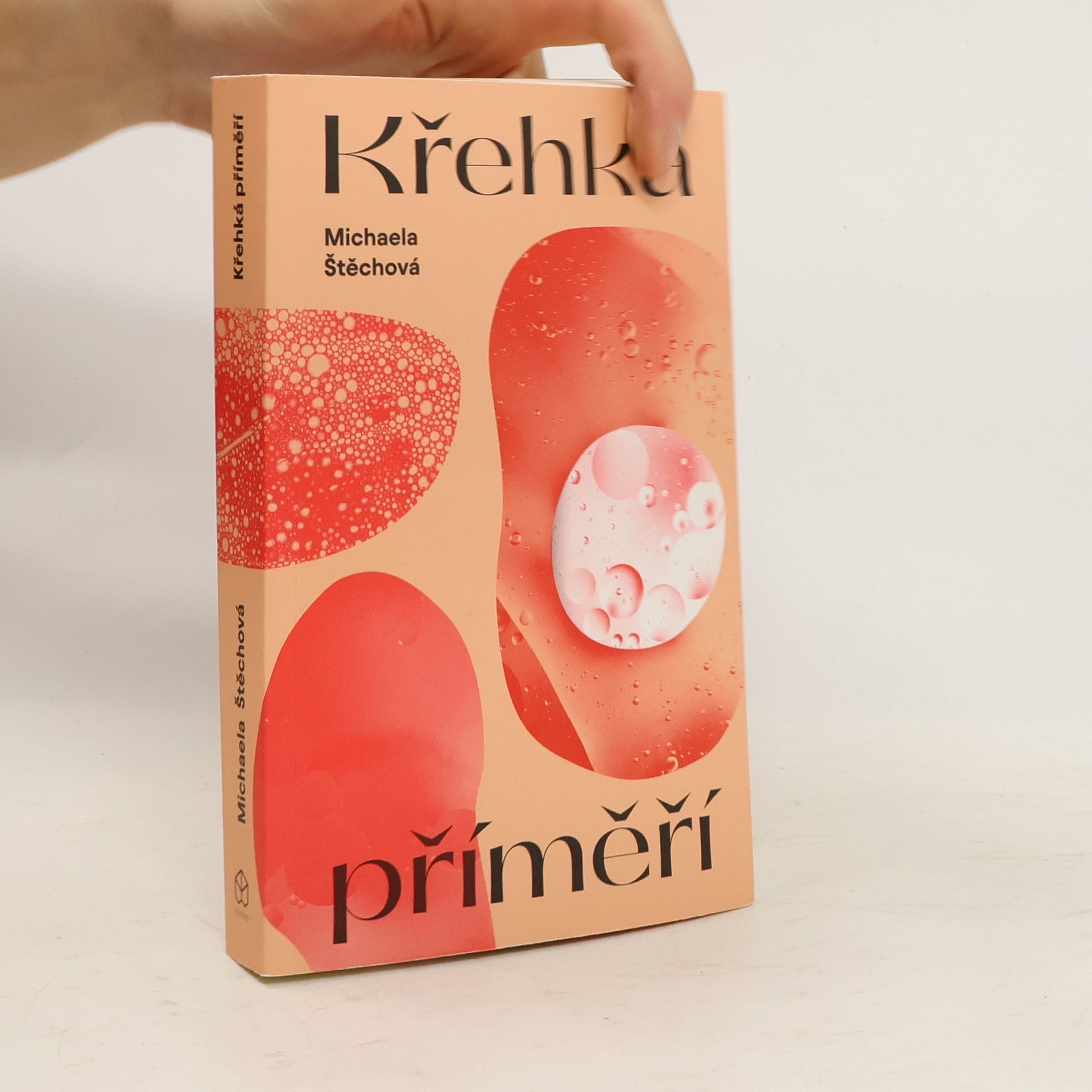 Michaela Štěchová Křehká příměří