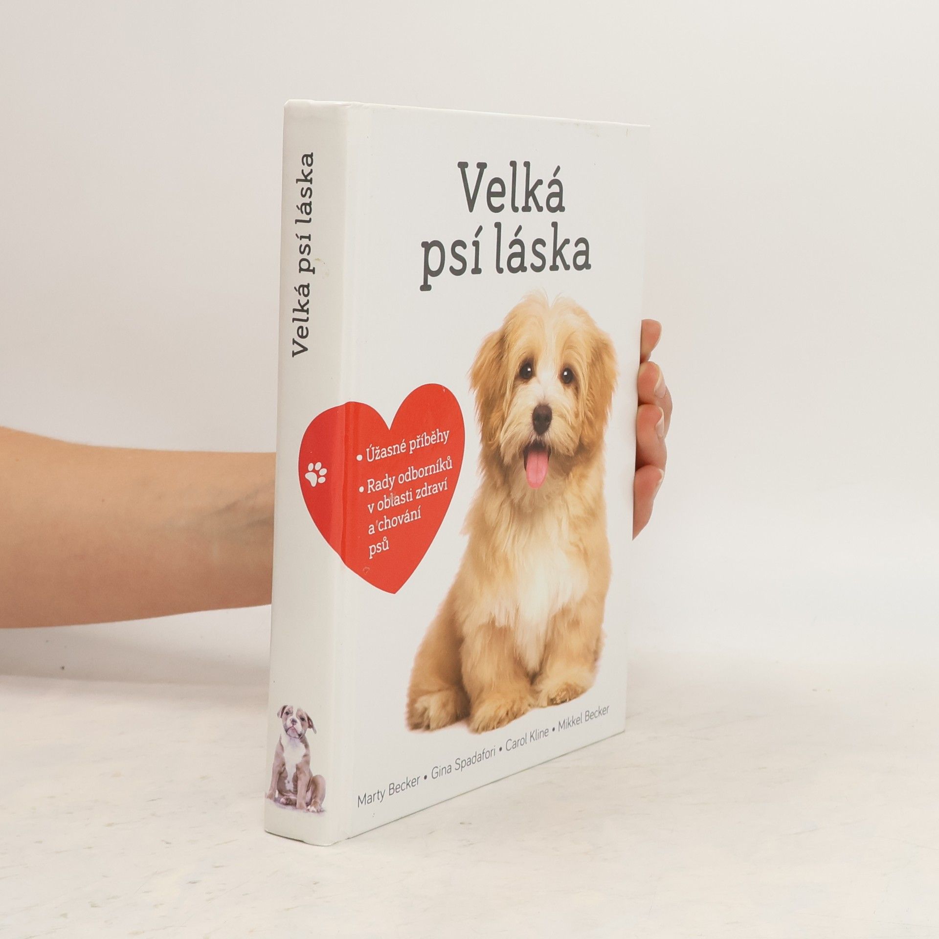 Marty Becker Velká psí láska: Příběhy, rady a úžasné fotografie psích bytostí