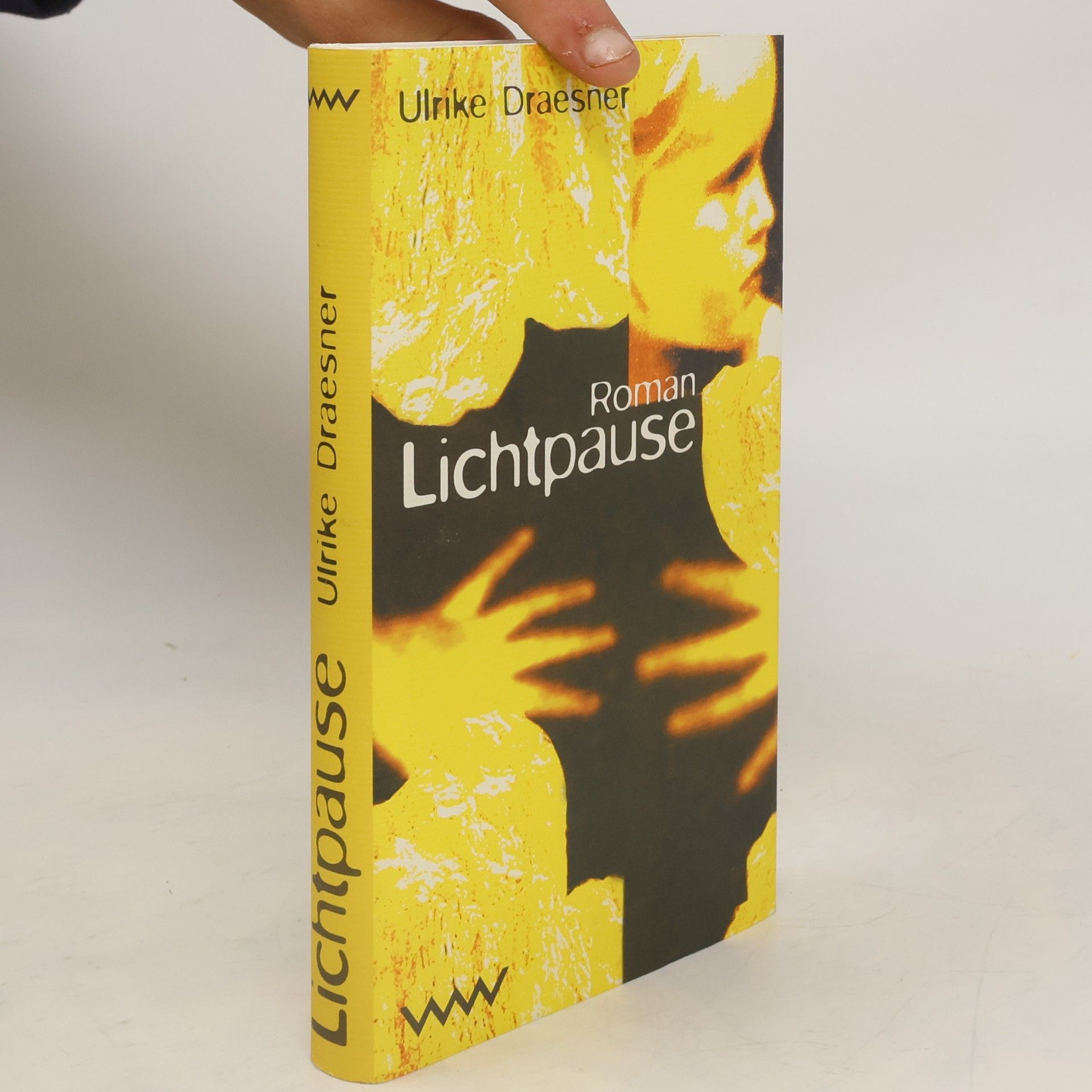 Ulrike Draesner Lichtpause
