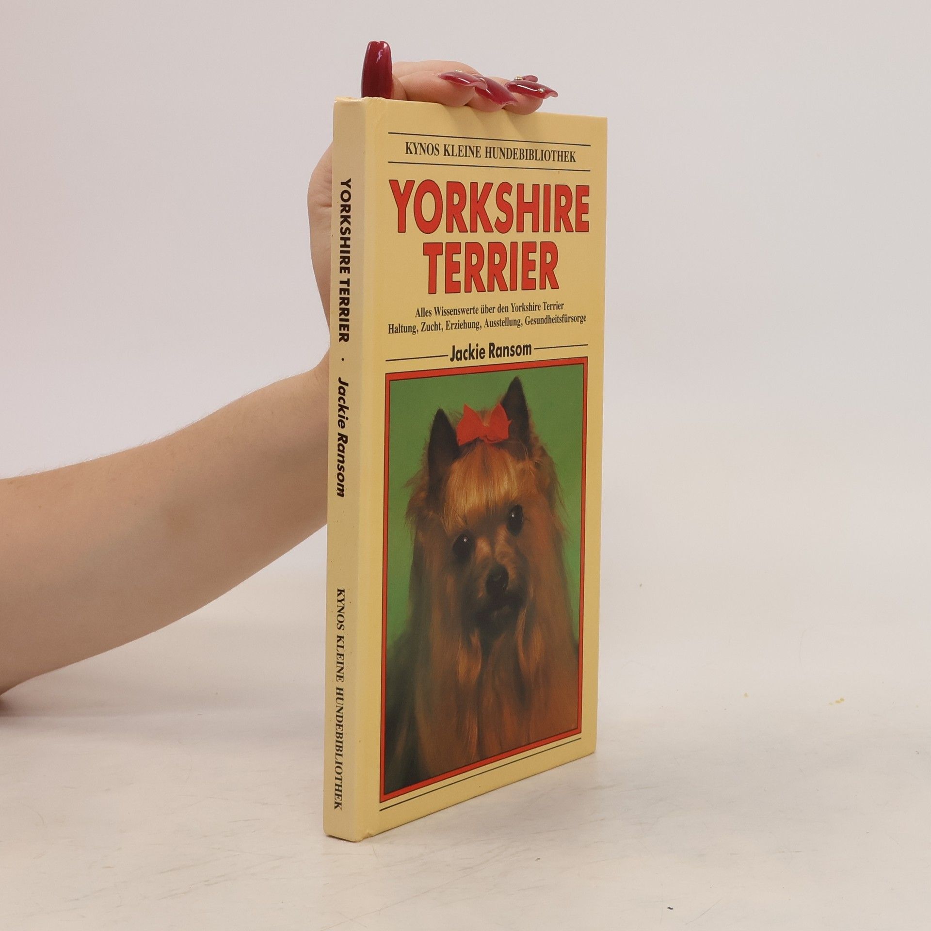 Jackie Ransom Yorkshire Terrier
