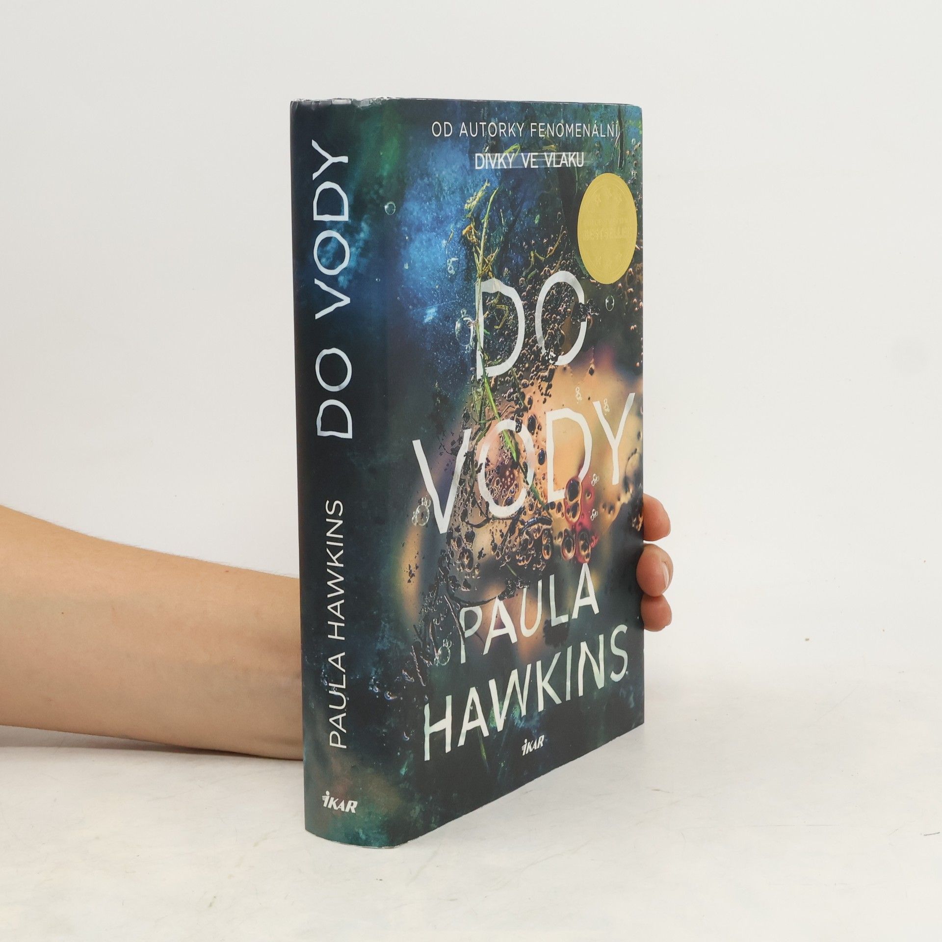 Paula Hawkins Do vody