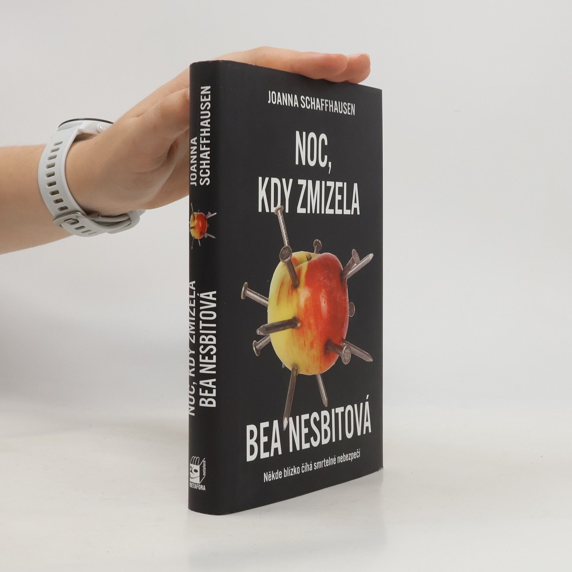 Joanna Schaffhausen Noc, kdy zmizela Bea Nesbitová