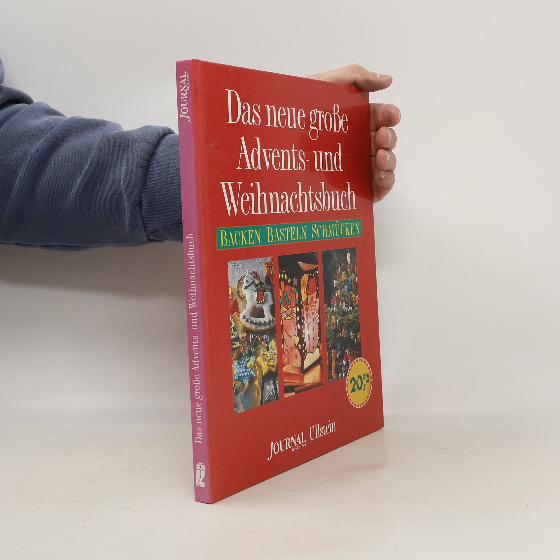 Jo van den Berg Das neue große Advents- und Weihnachtsbuch