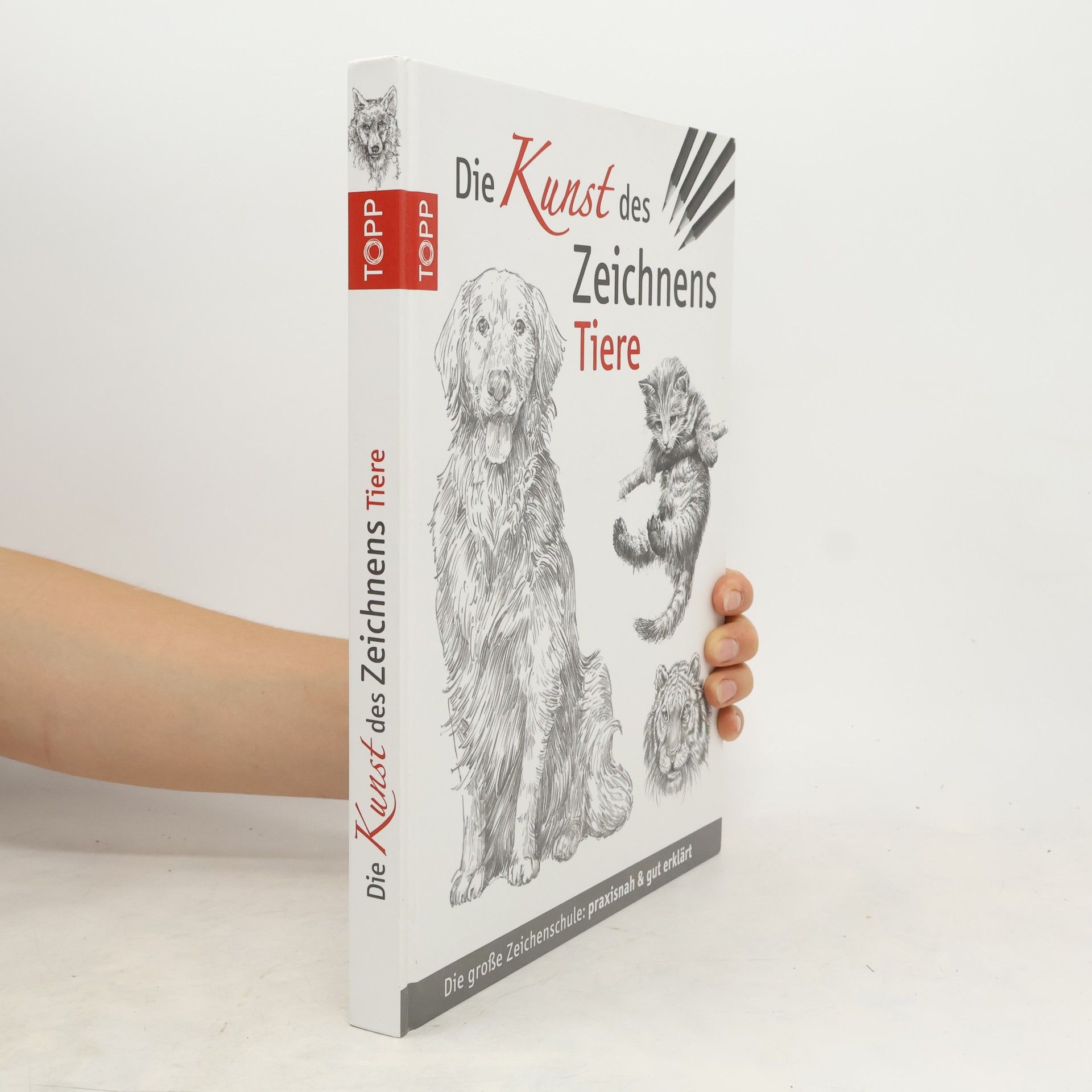 Autorenkollektiv Die Kunst des Zeichnens - Tiere