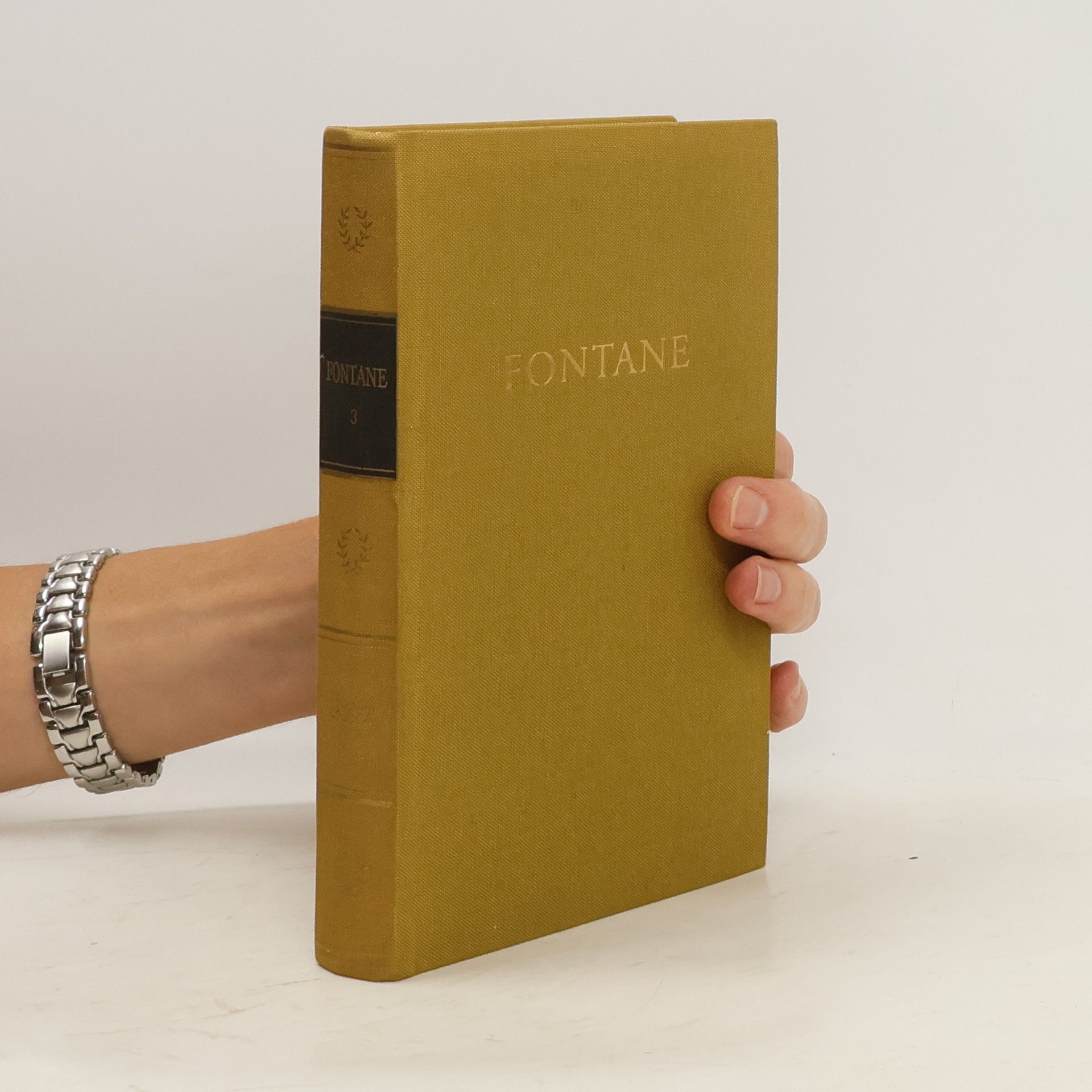 Theodor Fontane Fontanes Werke in fünf Bänden. Band 3