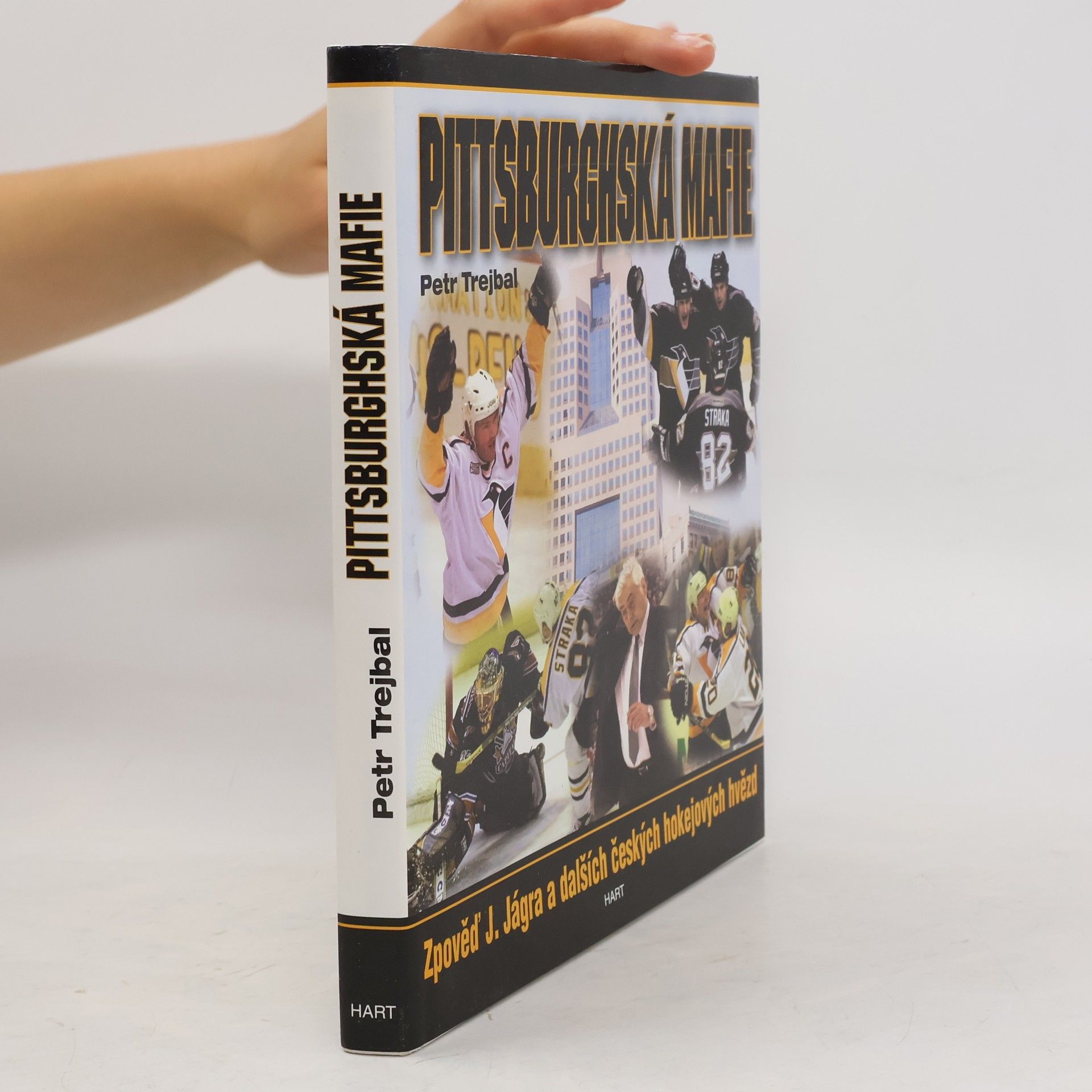 Petr Trejbal Pittsburghská mafie