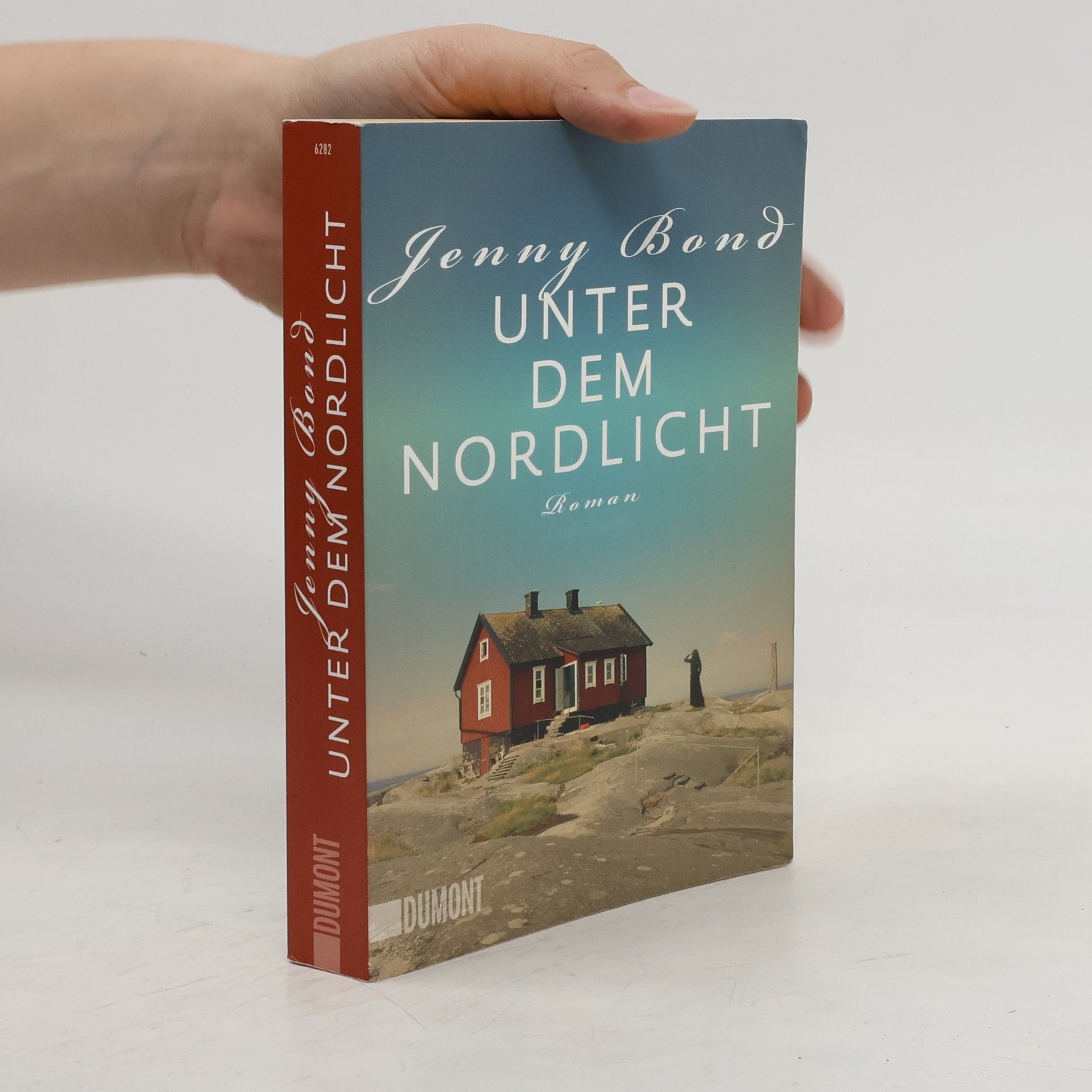 Jenny Bond Unter dem Nordlicht