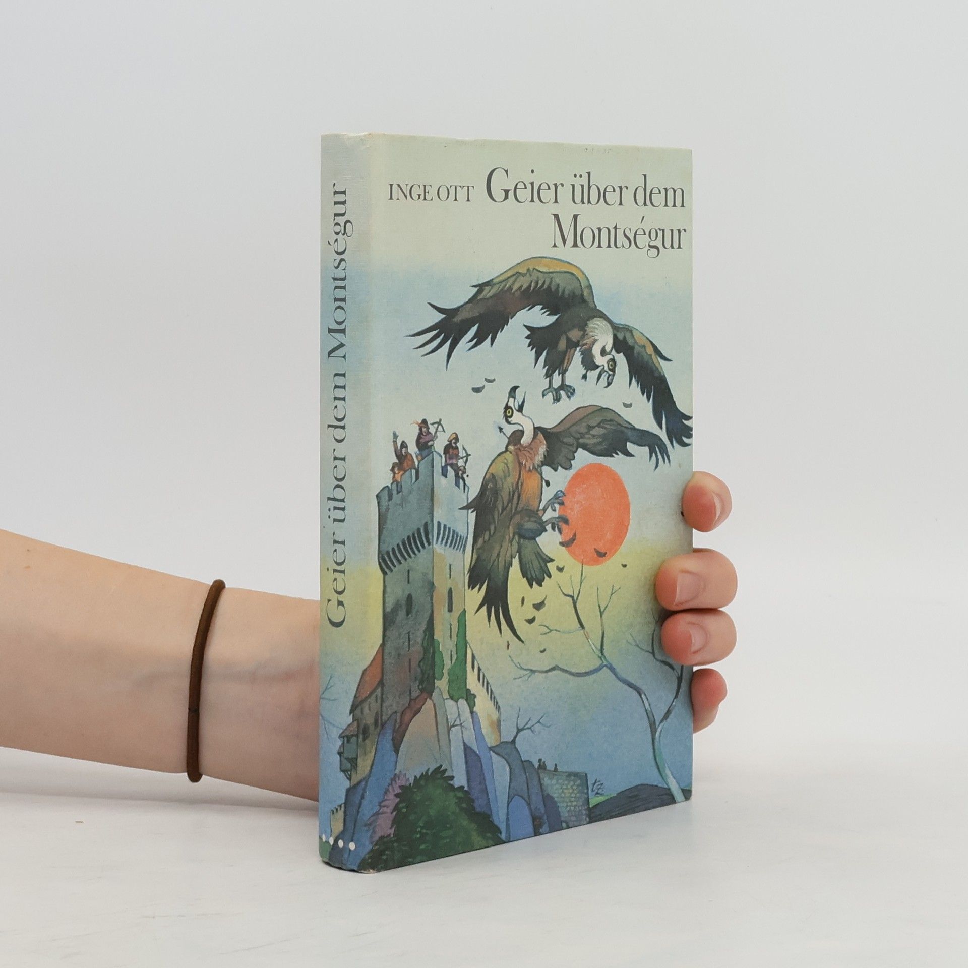 Inge Ott Geier über dem Montségur