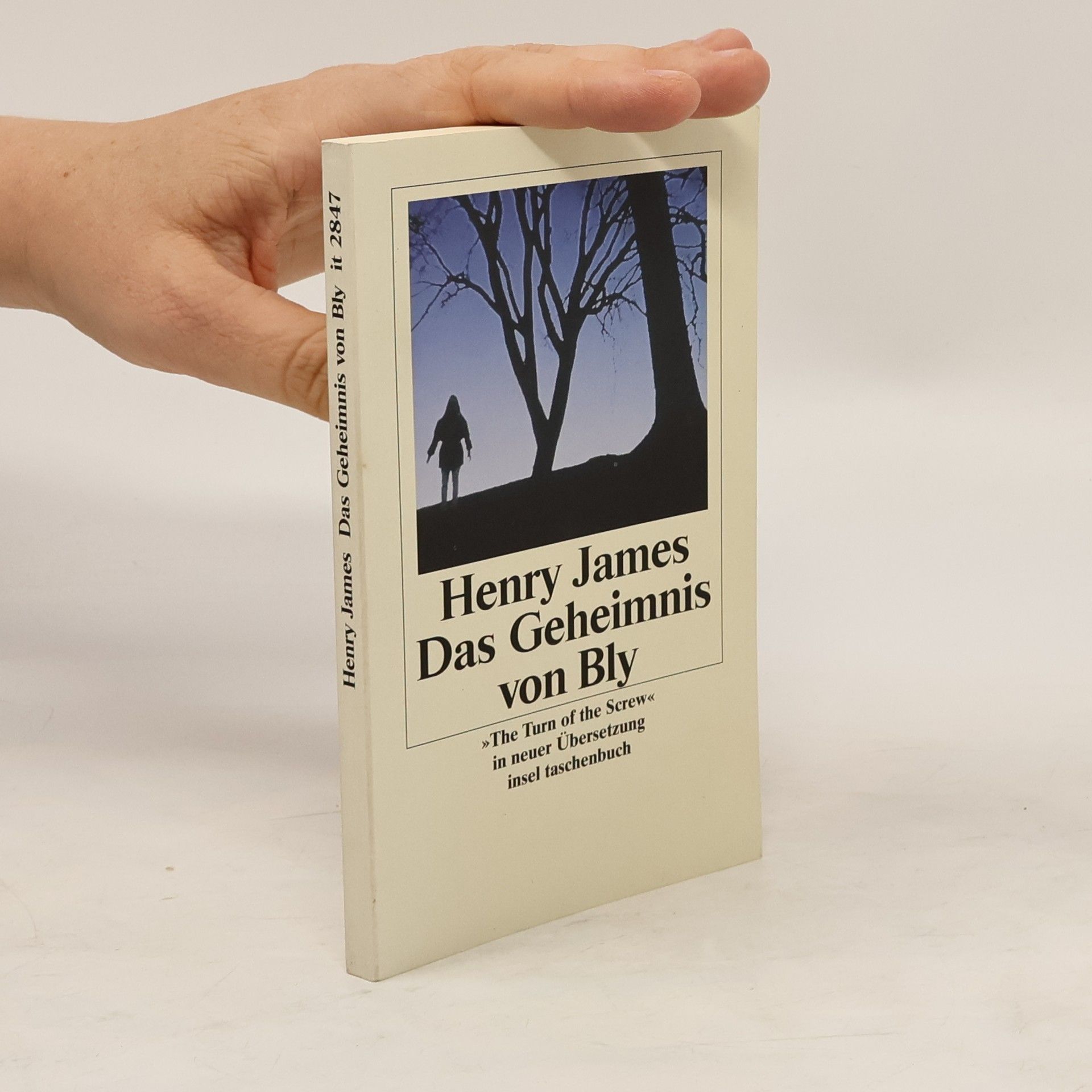 Henry James Das Geheimnis von Bly
