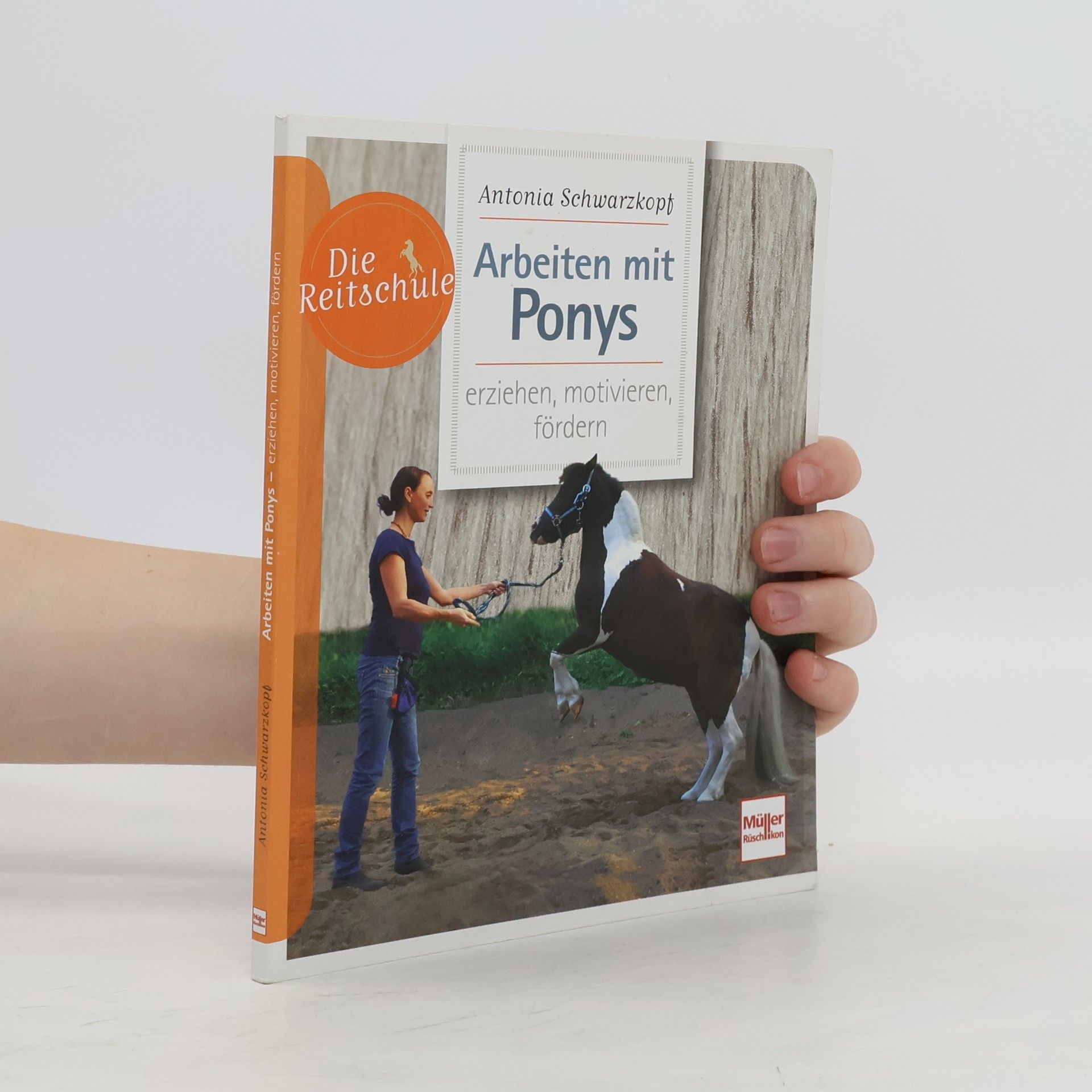 Antonia Schwarzkopf Arbeiten mit Ponys